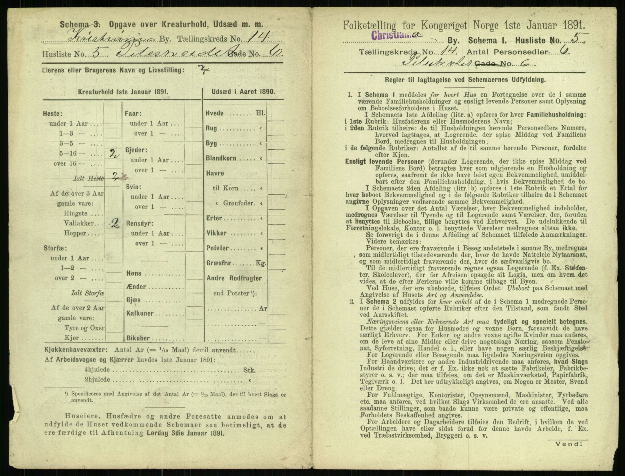 RA, 1891 census for 0301 Kristiania, 1891, p. 6685