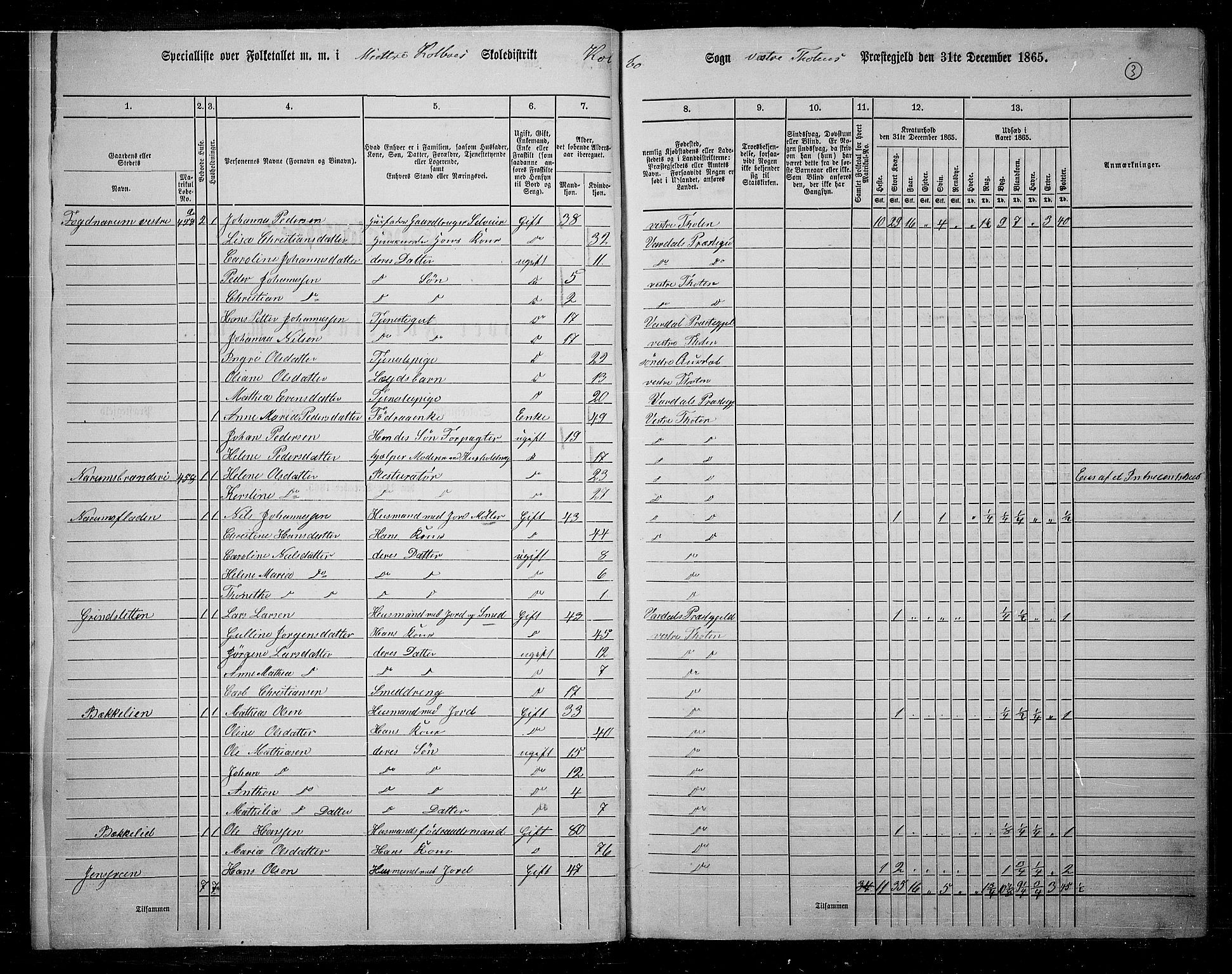 RA, 1865 census for Vestre Toten, 1865, p. 167