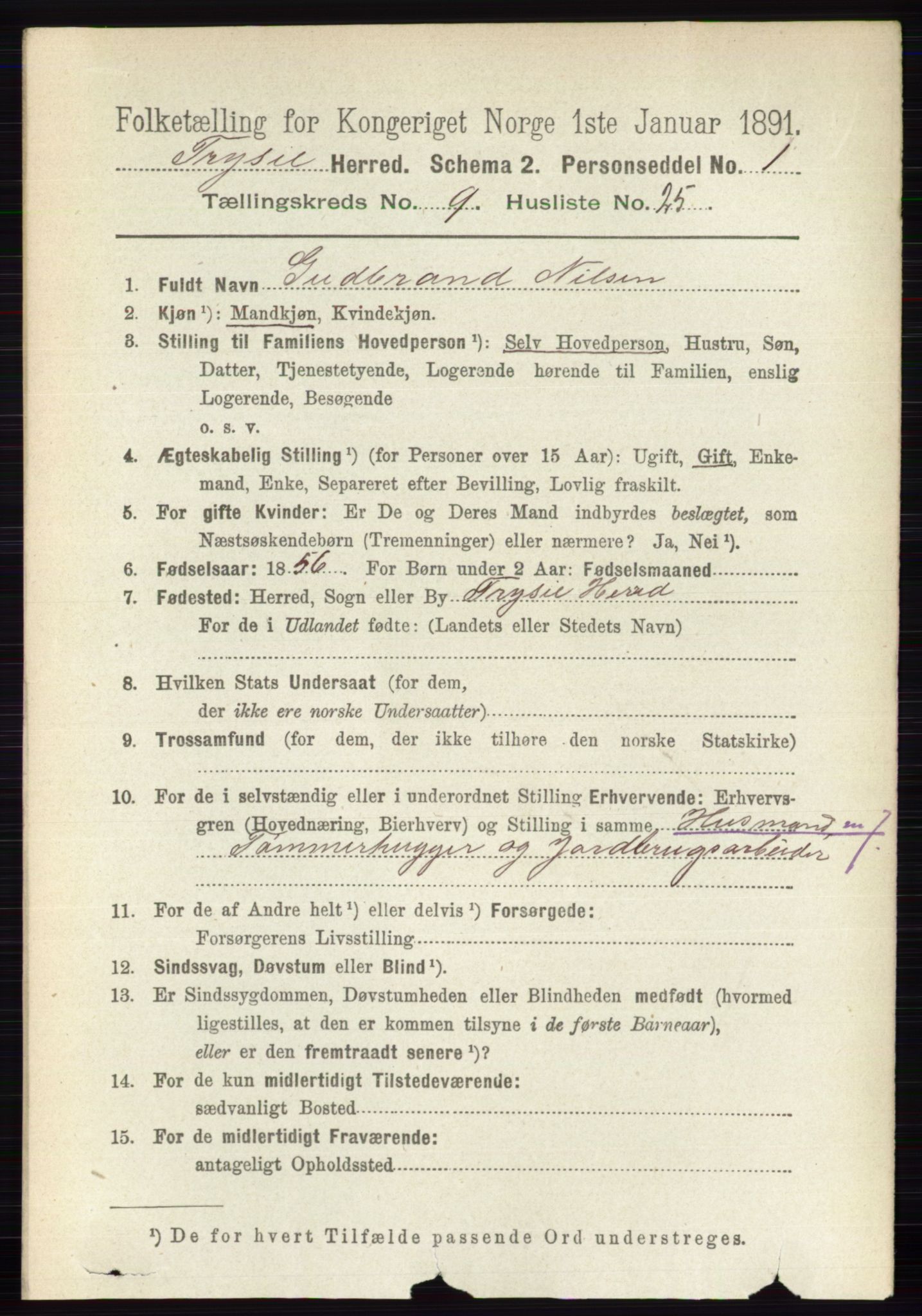 RA, 1891 census for 0428 Trysil, 1891, p. 4363