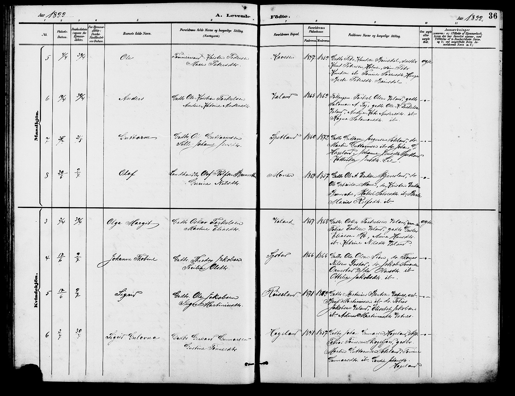 Holum sokneprestkontor, SAK/1111-0022/F/Fb/Fba/L0005: Parish register (copy) no. B 5, 1891-1909, p. 36