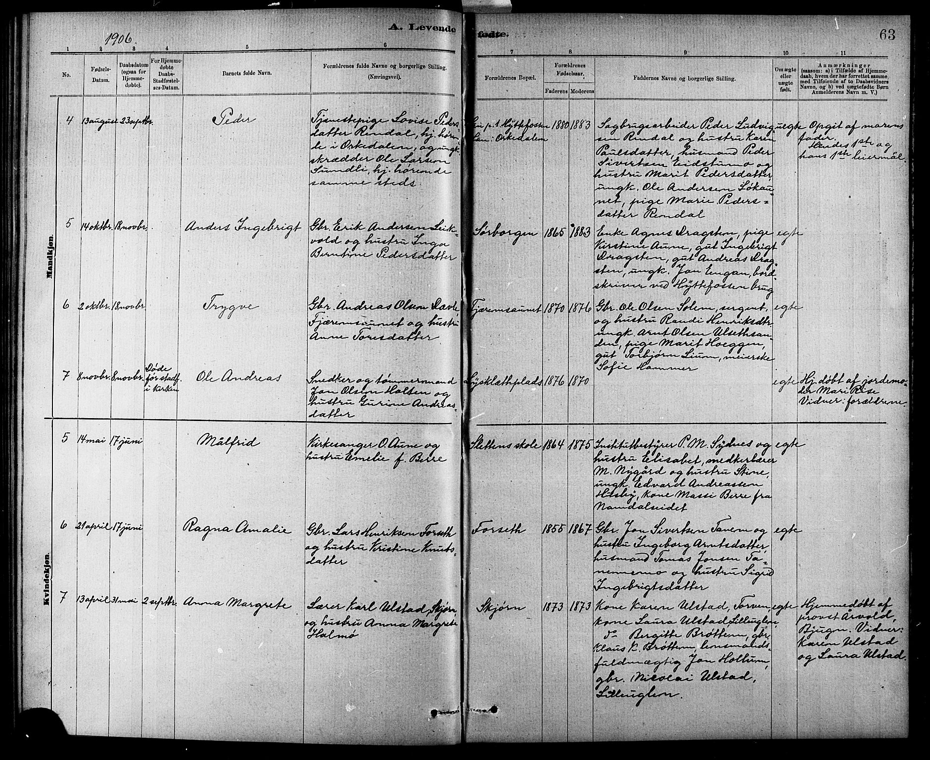 Ministerialprotokoller, klokkerbøker og fødselsregistre - Sør-Trøndelag, SAT/A-1456/618/L0452: Parish register (copy) no. 618C03, 1884-1906, p. 63