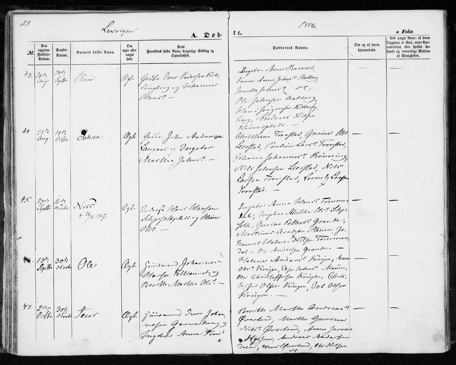 Ministerialprotokoller, klokkerbøker og fødselsregistre - Nord-Trøndelag, SAT/A-1458/701/L0008: Parish register (official) no. 701A08 /1, 1854-1863, p. 29