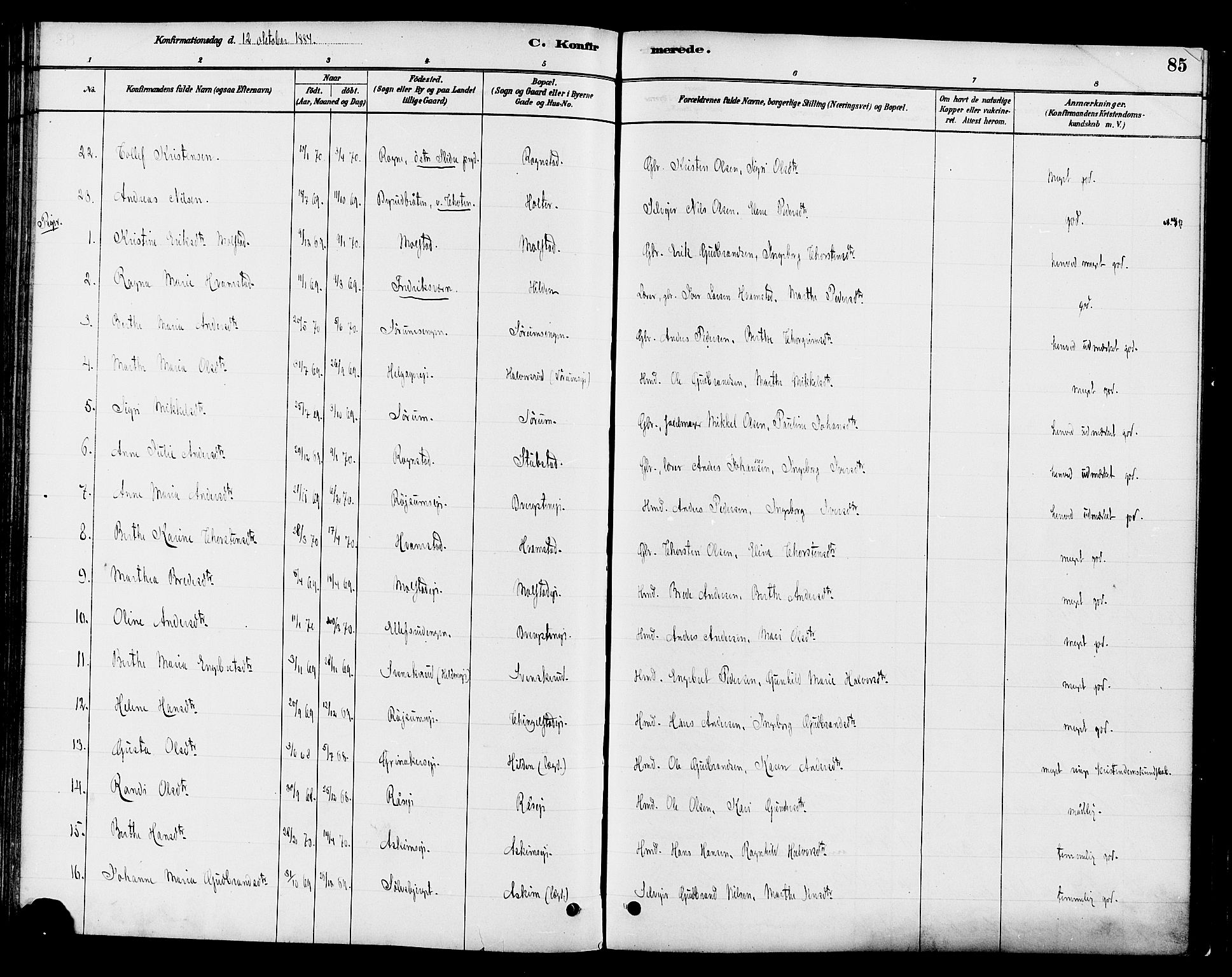Gran prestekontor, SAH/PREST-112/H/Ha/Haa/L0016: Parish register (official) no. 16, 1880-1888, p. 85