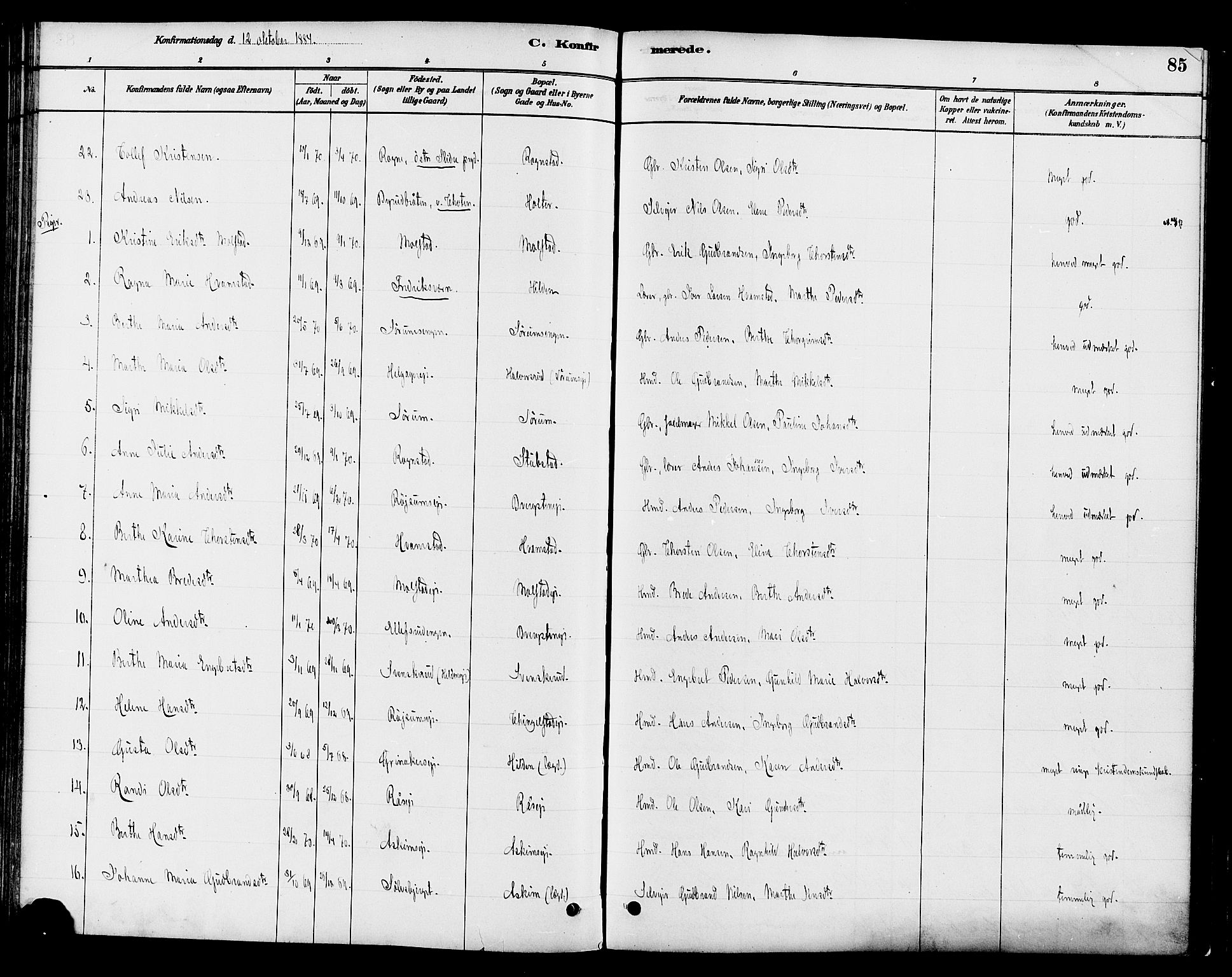 Gran prestekontor, AV/SAH-PREST-112/H/Ha/Haa/L0016: Parish register (official) no. 16, 1880-1888, p. 85