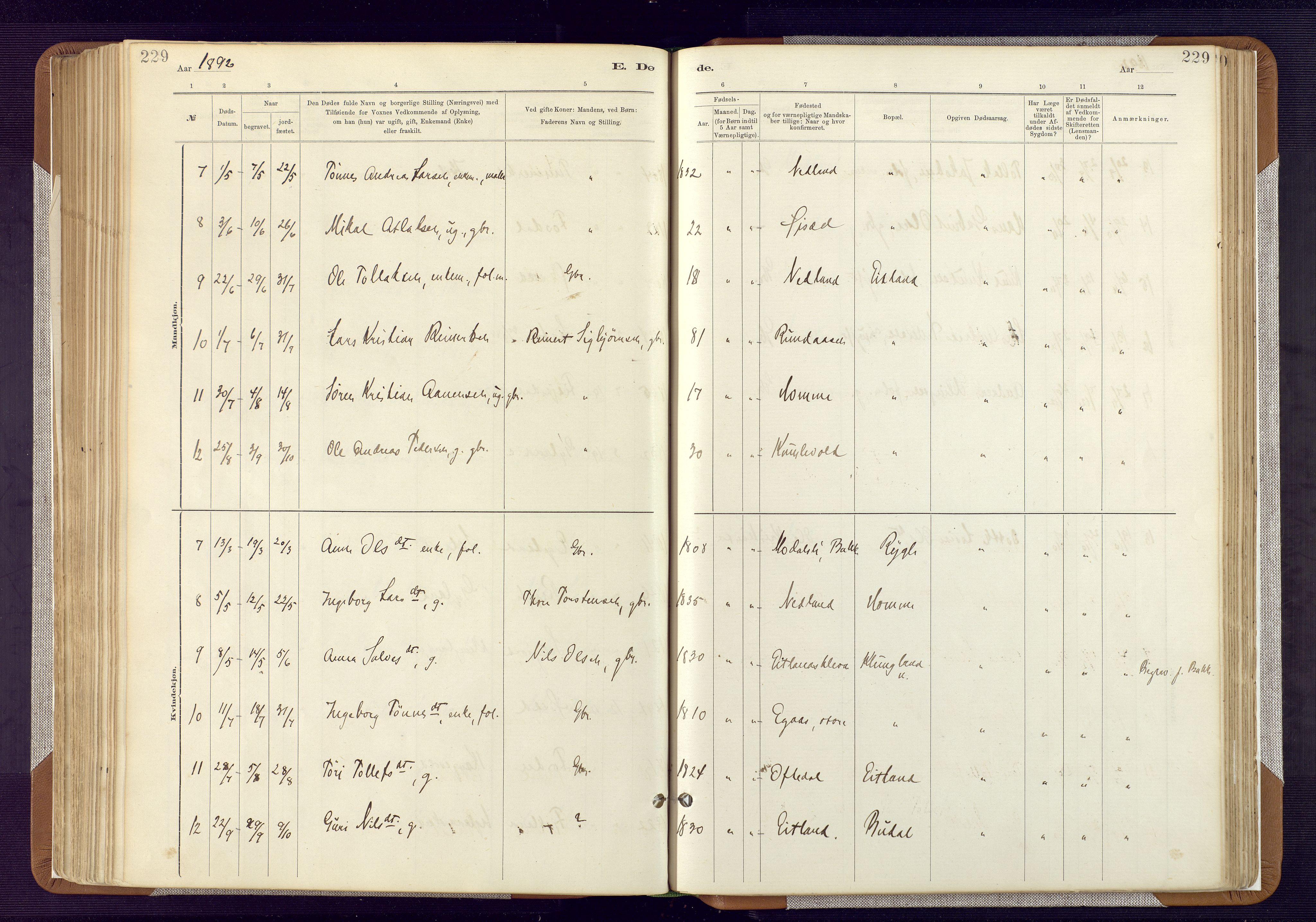 Bakke sokneprestkontor, AV/SAK-1111-0002/F/Fa/Fab/L0003: Parish register (official) no. A 3, 1884-1921, p. 229