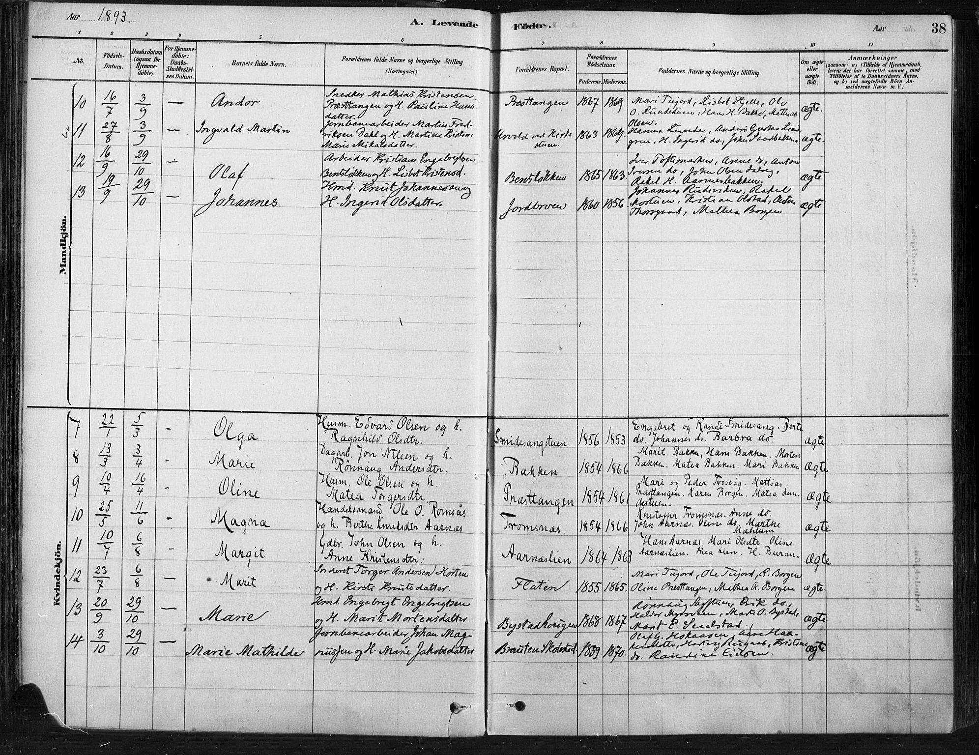 Ringebu prestekontor, AV/SAH-PREST-082/H/Ha/Haa/L0009: Parish register (official) no. 9, 1878-1898, p. 38