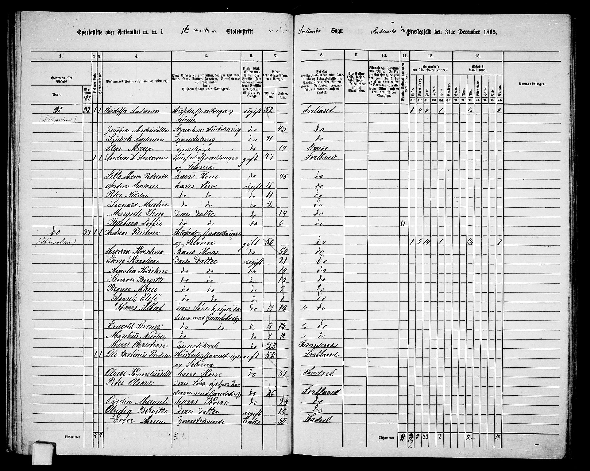 RA, 1865 census for Sortland, 1865, p. 33