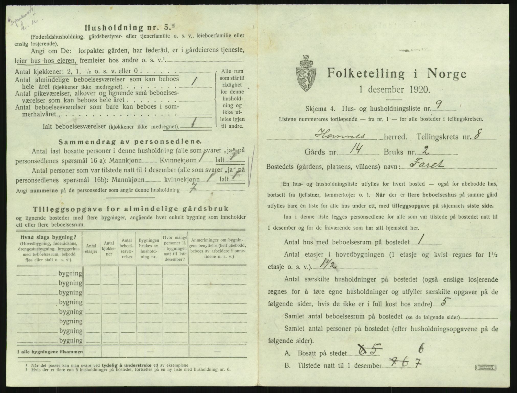 SAK, 1920 census for Hornnes, 1920, p. 311