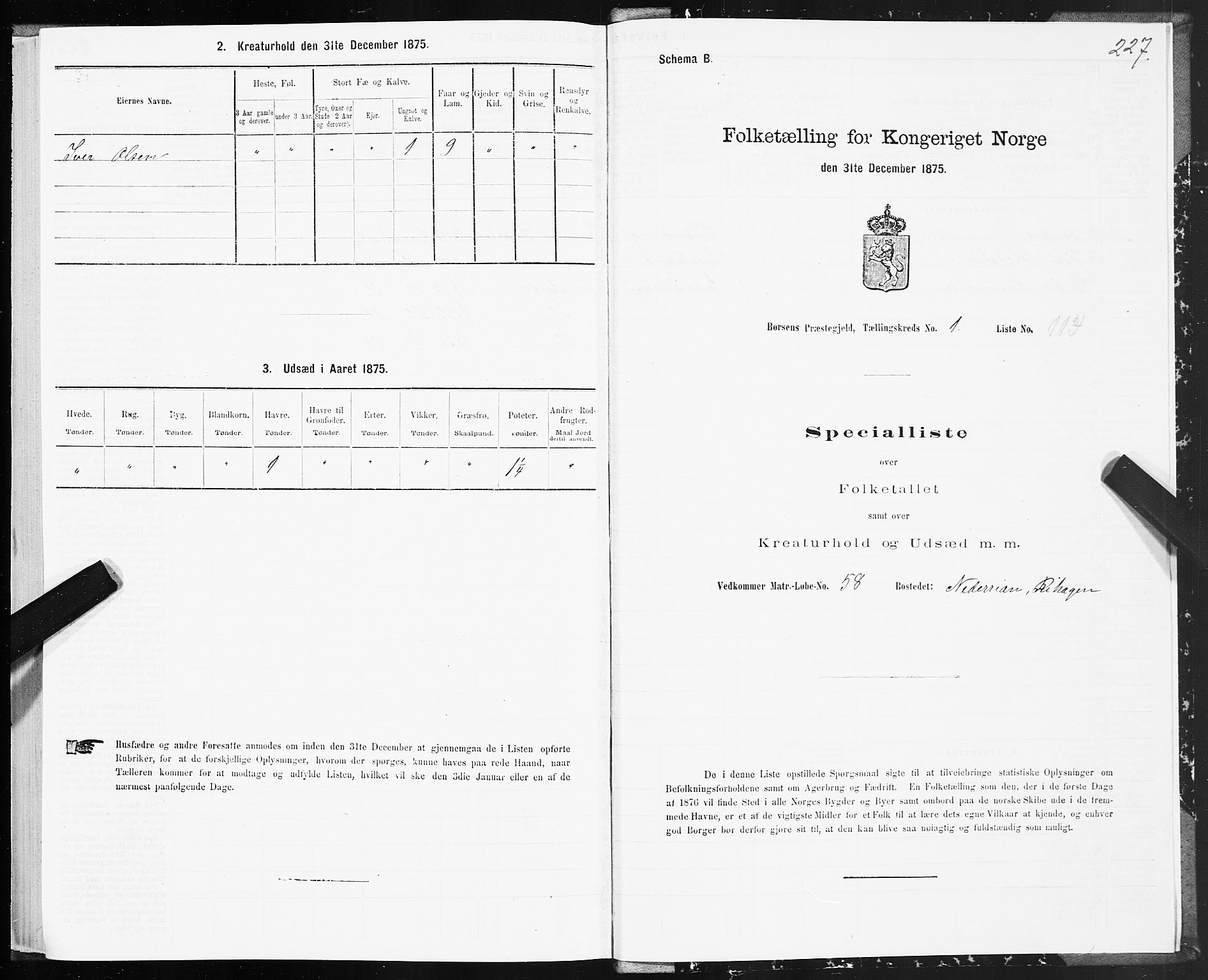 SAT, 1875 census for 1658P Børsa, 1875, p. 1227
