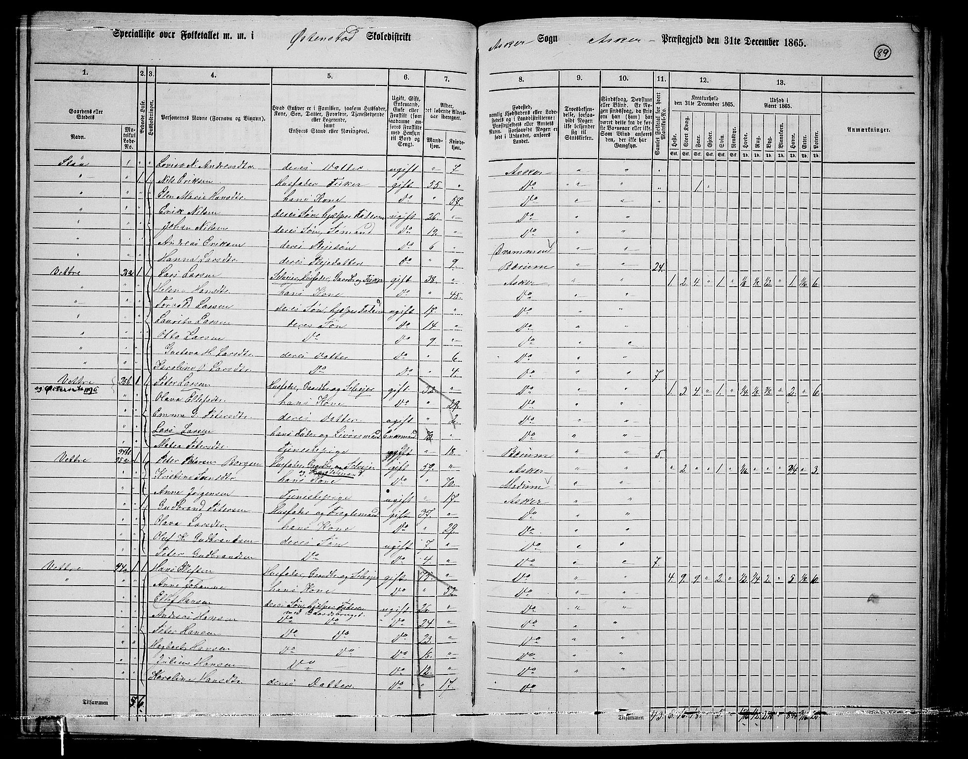 RA, 1865 census for Asker, 1865, p. 85