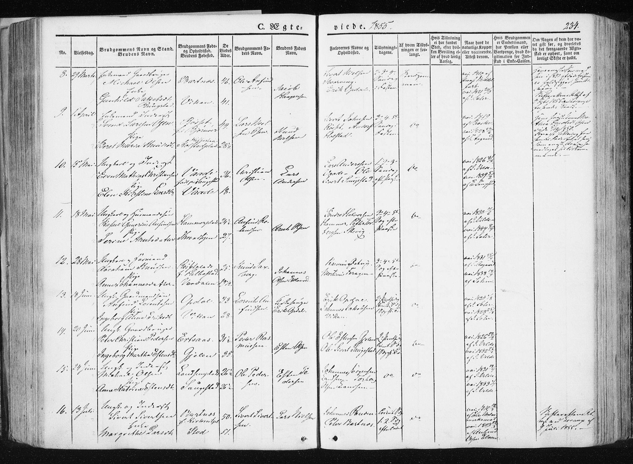 Ministerialprotokoller, klokkerbøker og fødselsregistre - Nord-Trøndelag, AV/SAT-A-1458/741/L0393: Parish register (official) no. 741A07, 1849-1863, p. 234