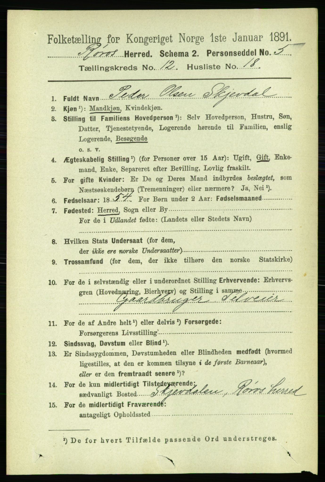 RA, 1891 census for 1640 Røros, 1891, p. 2503