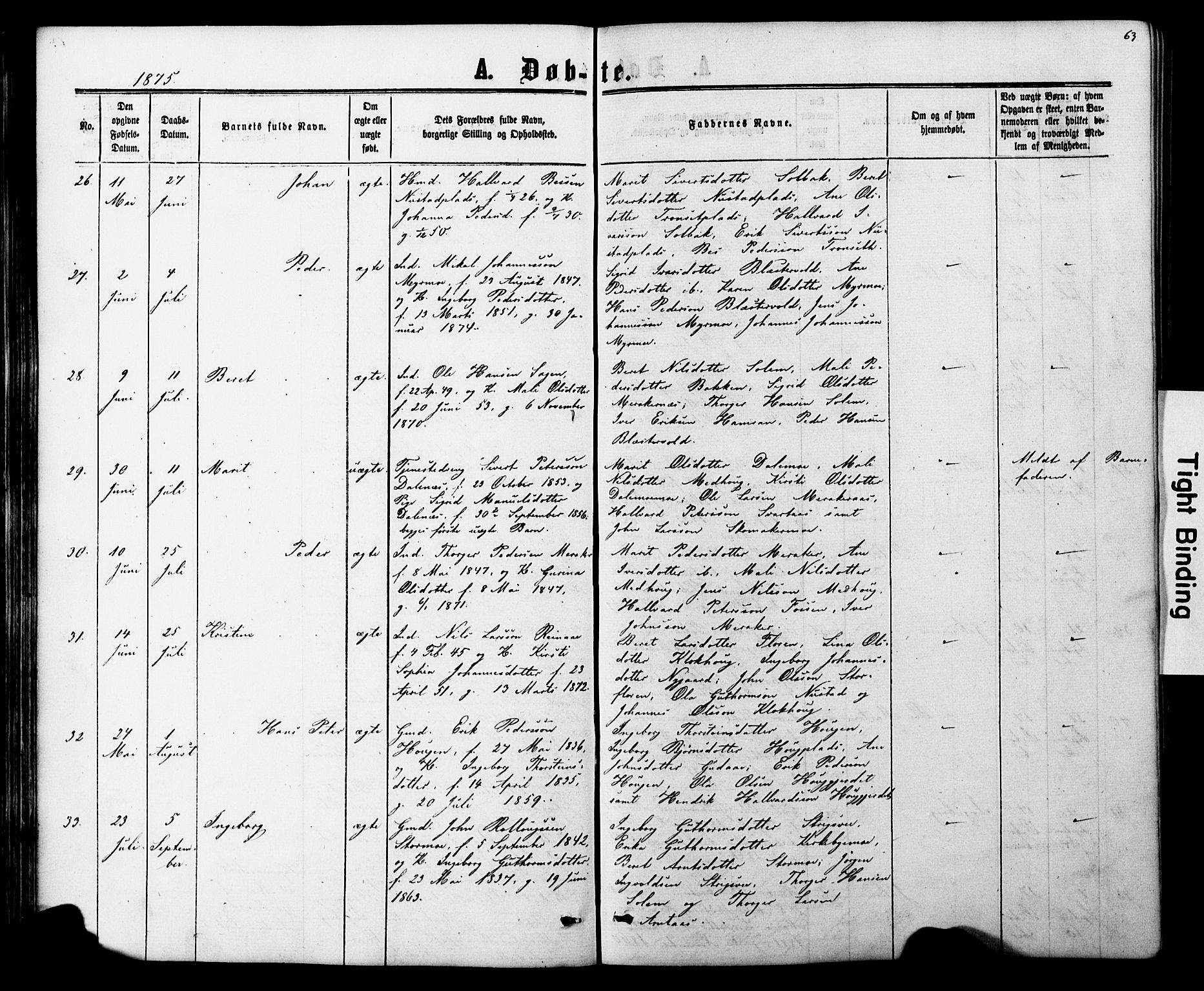 Ministerialprotokoller, klokkerbøker og fødselsregistre - Nord-Trøndelag, SAT/A-1458/706/L0049: Parish register (copy) no. 706C01, 1864-1895, p. 63