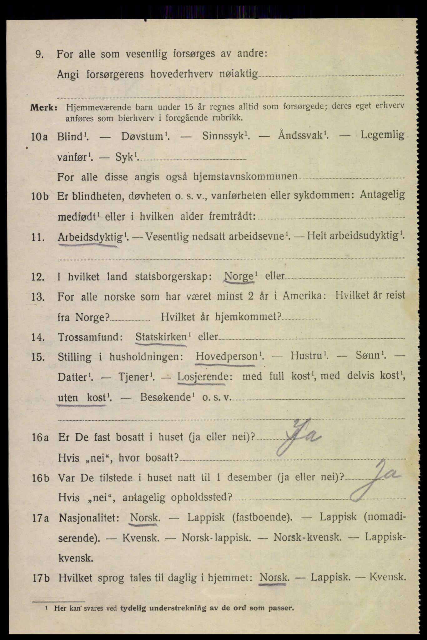 SAT, 1920 census for Bodin, 1920, p. 3495