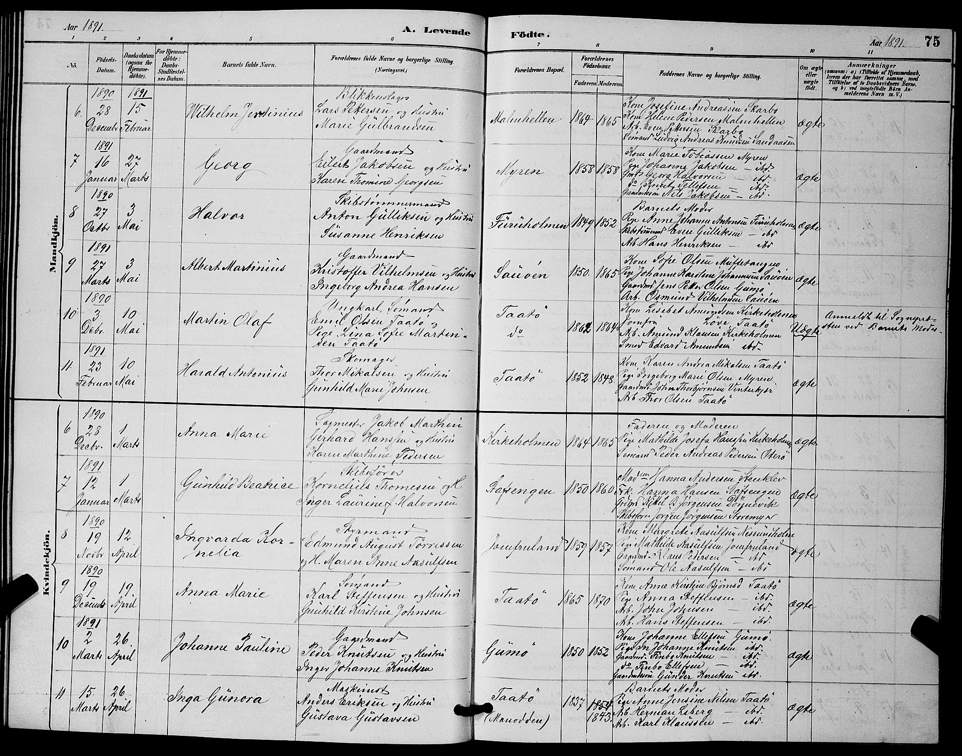 Skåtøy kirkebøker, SAKO/A-304/G/Ga/L0003: Parish register (copy) no. I 3, 1884-1898, p. 75