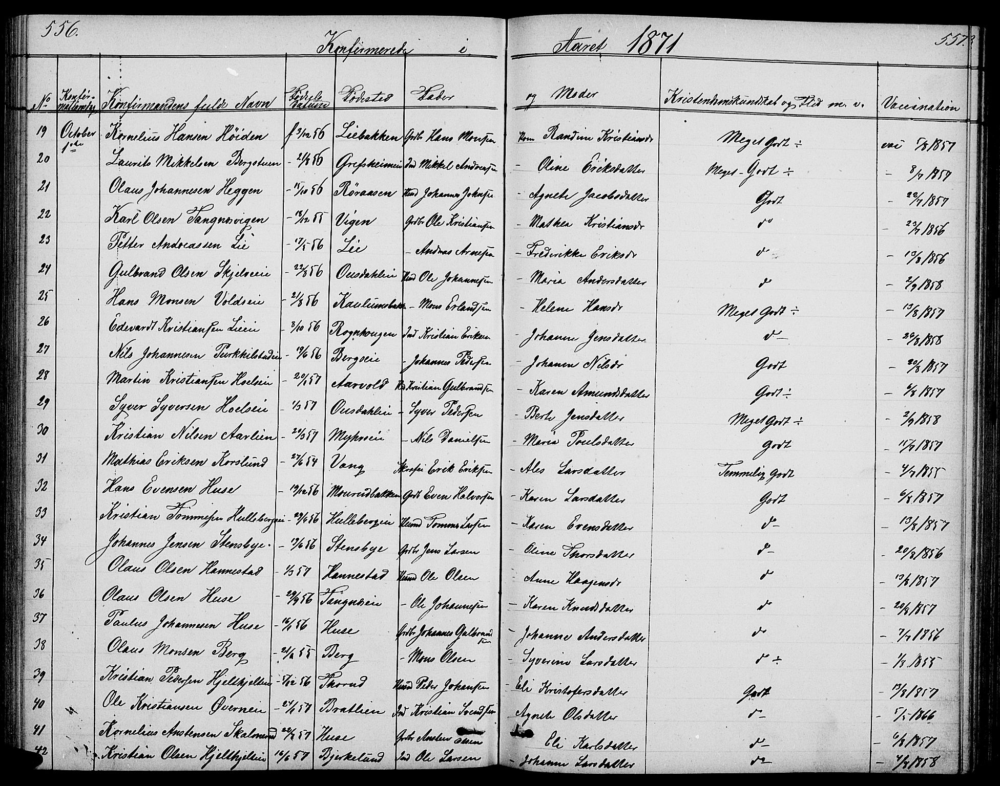 Nes prestekontor, Hedmark, SAH/PREST-020/L/La/L0005: Parish register (copy) no. 5, 1852-1889, p. 556-557