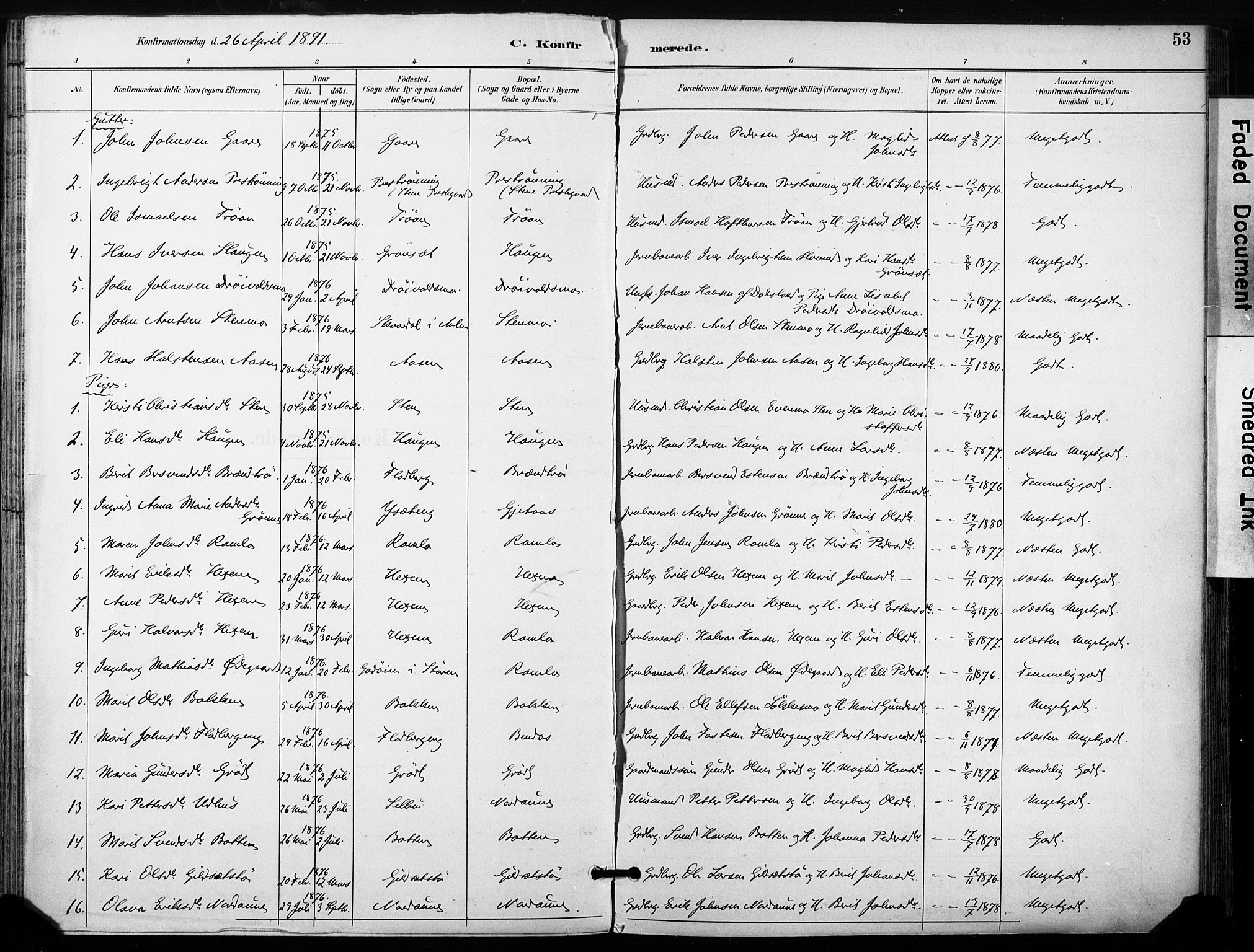 Ministerialprotokoller, klokkerbøker og fødselsregistre - Sør-Trøndelag, SAT/A-1456/685/L0973: Parish register (official) no. 685A10, 1891-1907, p. 53
