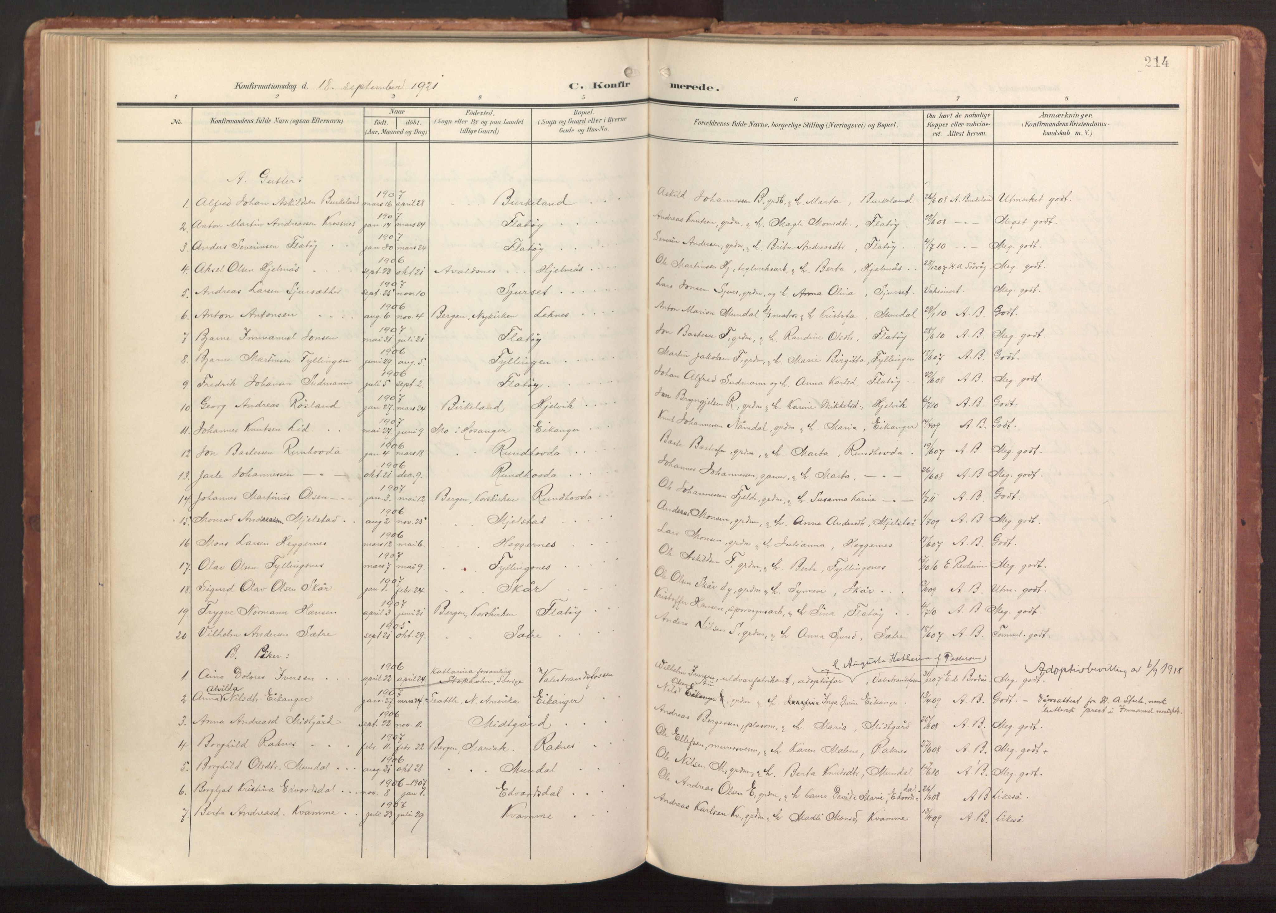 Hamre sokneprestembete, AV/SAB-A-75501/H/Ha/Haa/Haab/L0002: Parish register (official) no. B 2, 1905-1924, p. 214