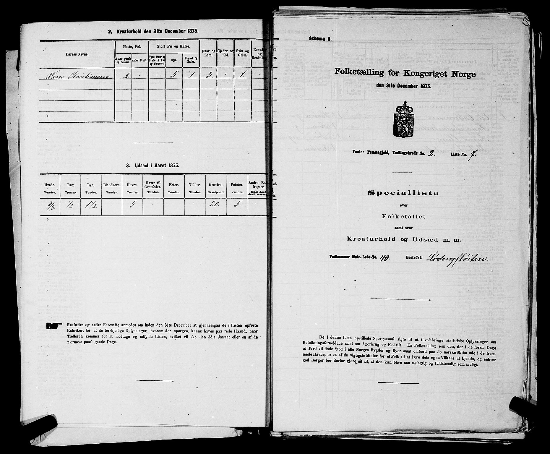 RA, 1875 census for 0137P Våler, 1875, p. 241