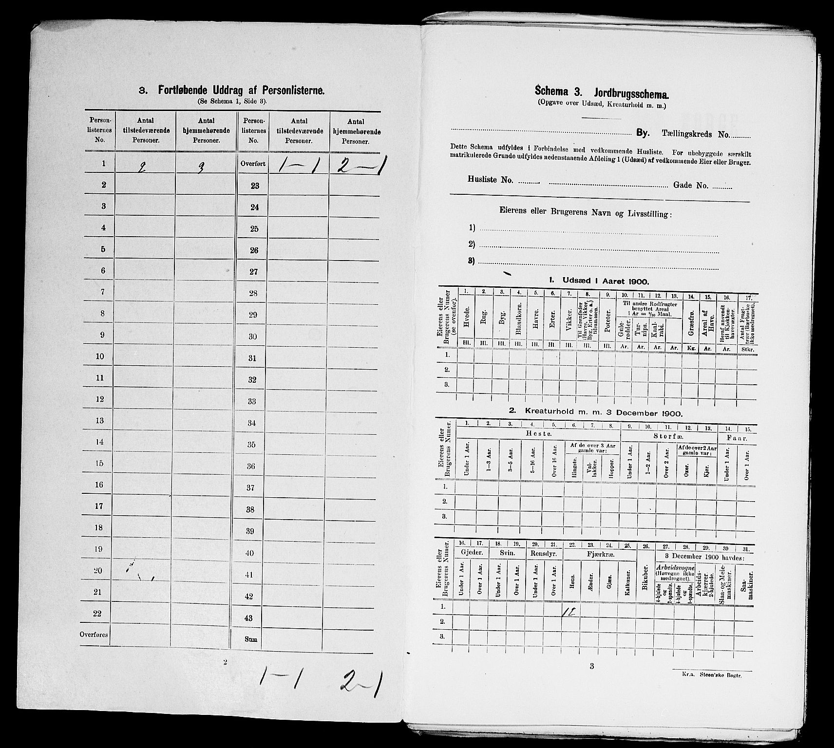 SAST, 1900 census for Stavanger, 1900, p. 13226