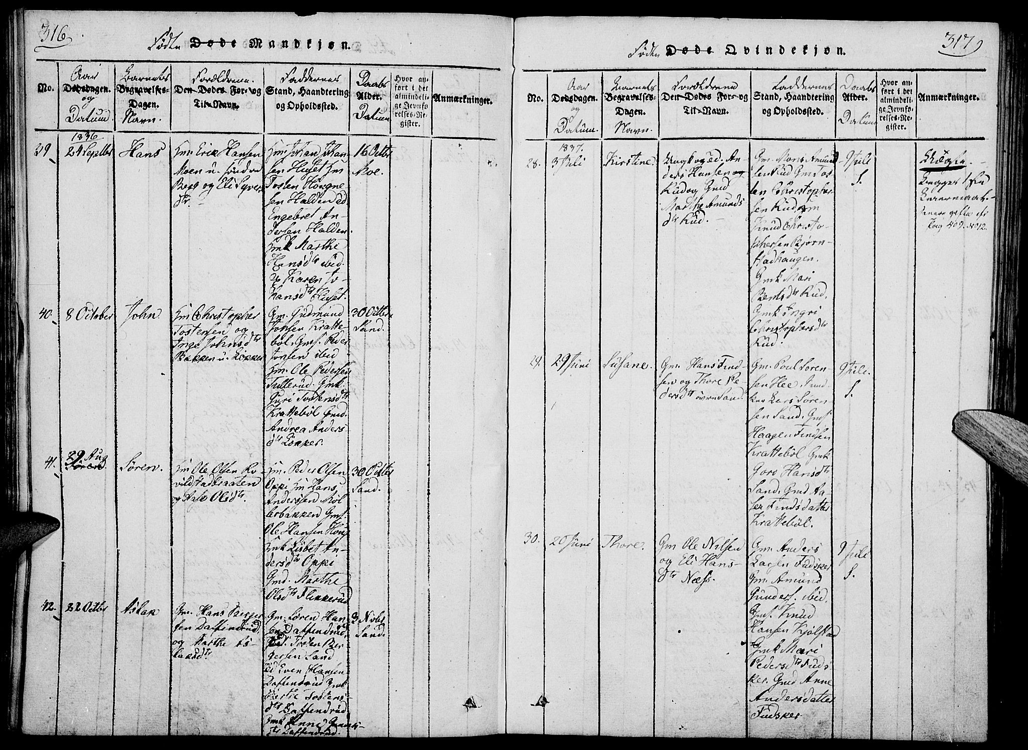 Nord-Odal prestekontor, AV/SAH-PREST-032/H/Ha/Haa/L0001: Parish register (official) no. 1, 1819-1838, p. 316-317