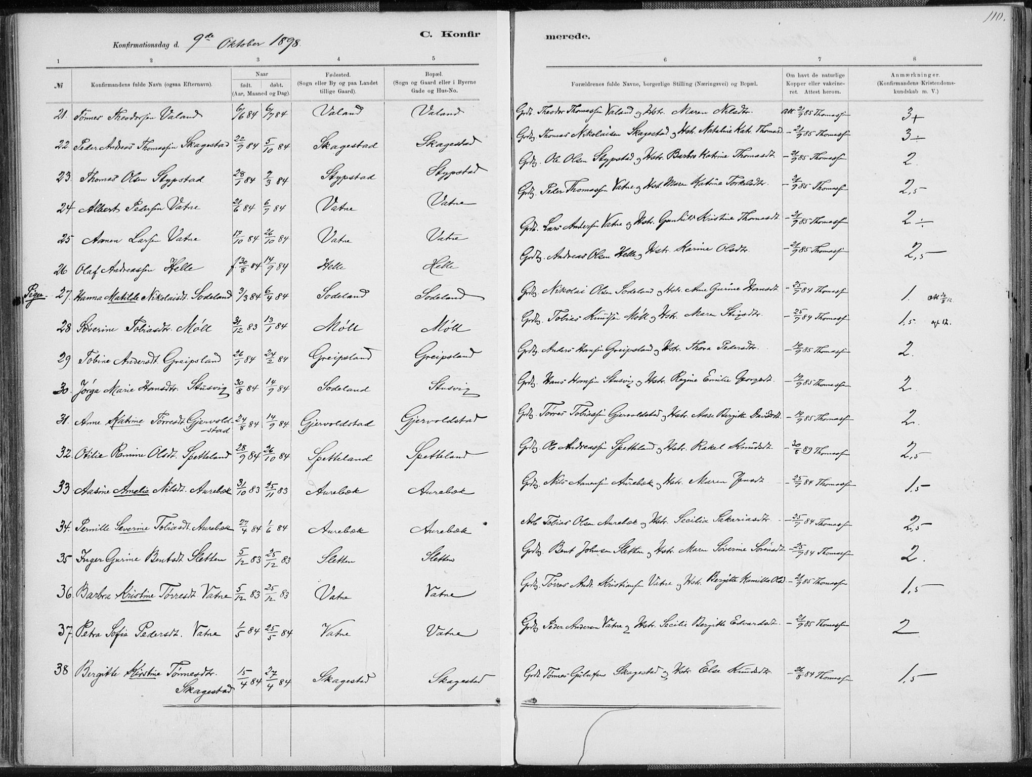 Holum sokneprestkontor, AV/SAK-1111-0022/F/Fa/Faa/L0007: Parish register (official) no. A 7, 1884-1907, p. 110