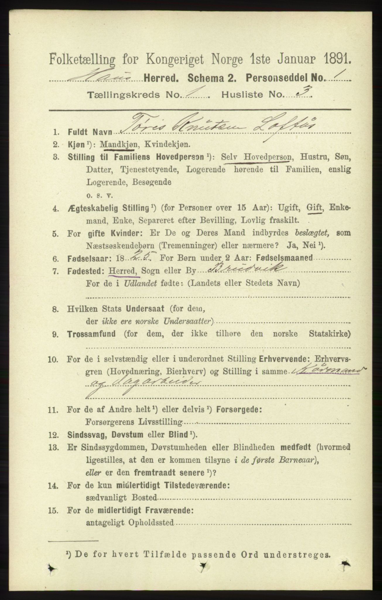 RA, 1891 census for 1250 Haus, 1891, p. 110