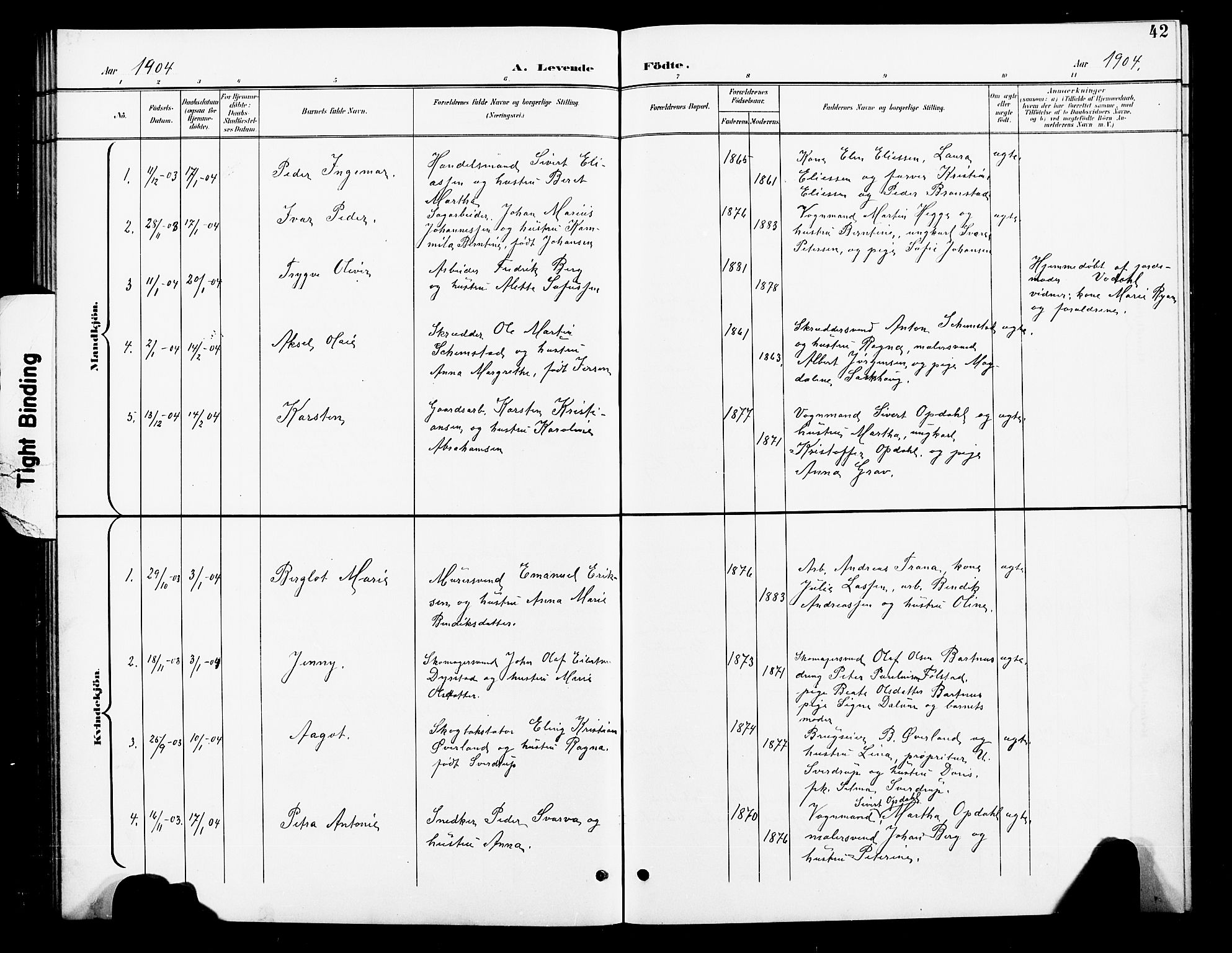 Ministerialprotokoller, klokkerbøker og fødselsregistre - Nord-Trøndelag, SAT/A-1458/739/L0375: Parish register (copy) no. 739C03, 1898-1908, p. 42