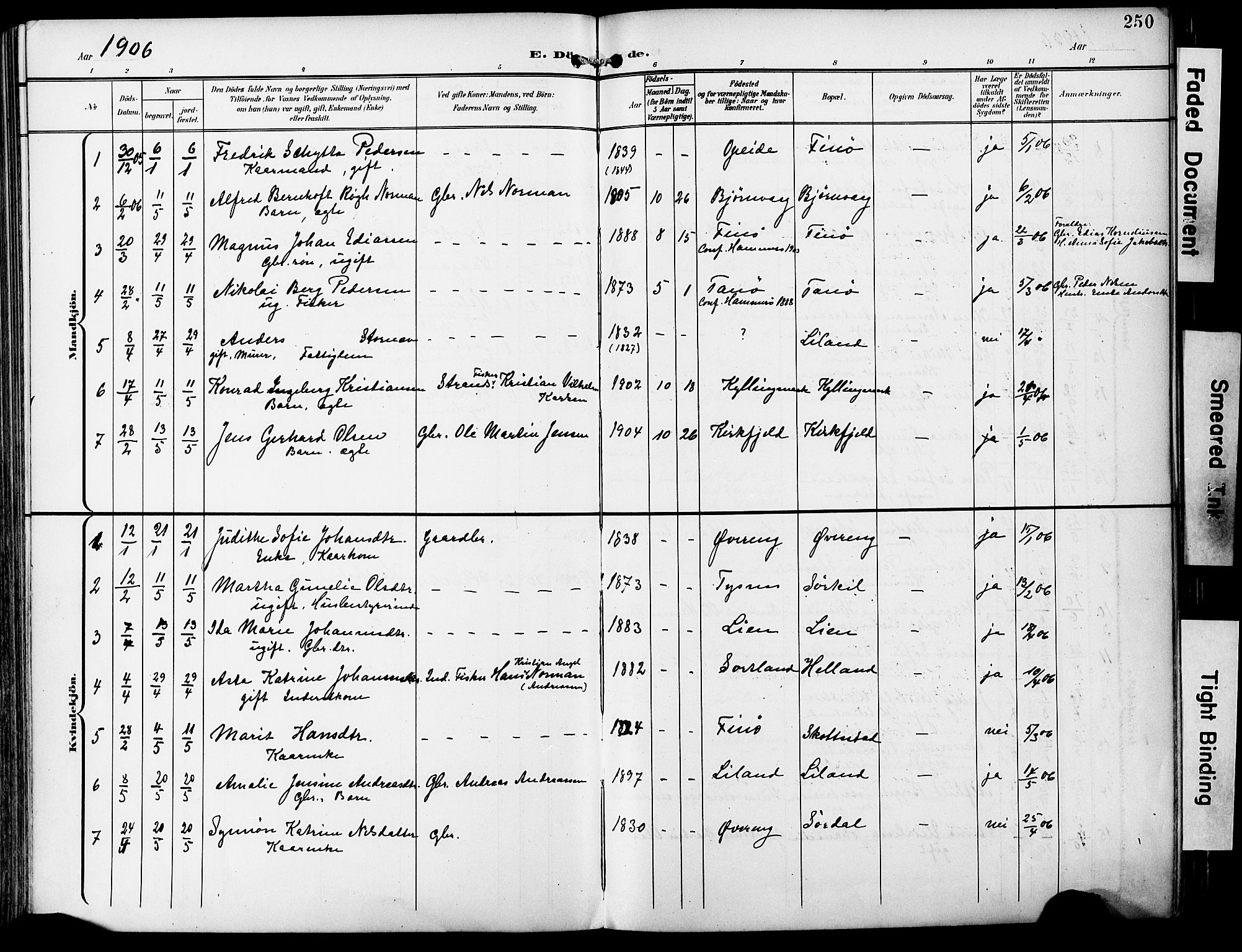 Ministerialprotokoller, klokkerbøker og fødselsregistre - Nordland, AV/SAT-A-1459/859/L0848: Parish register (official) no. 859A08, 1900-1912, p. 250