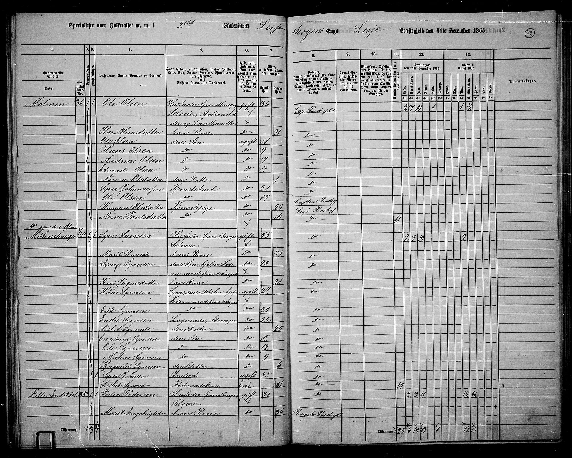 RA, 1865 census for Lesja, 1865, p. 37