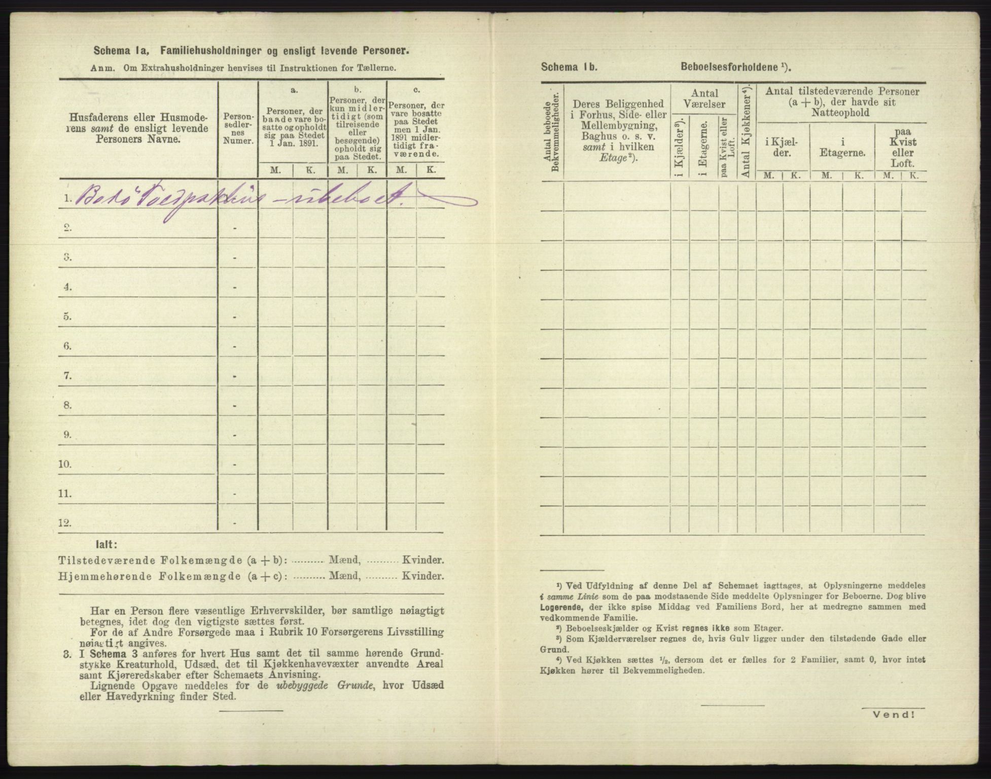 RA, 1891 census for 1804 Bodø, 1891, p. 2008