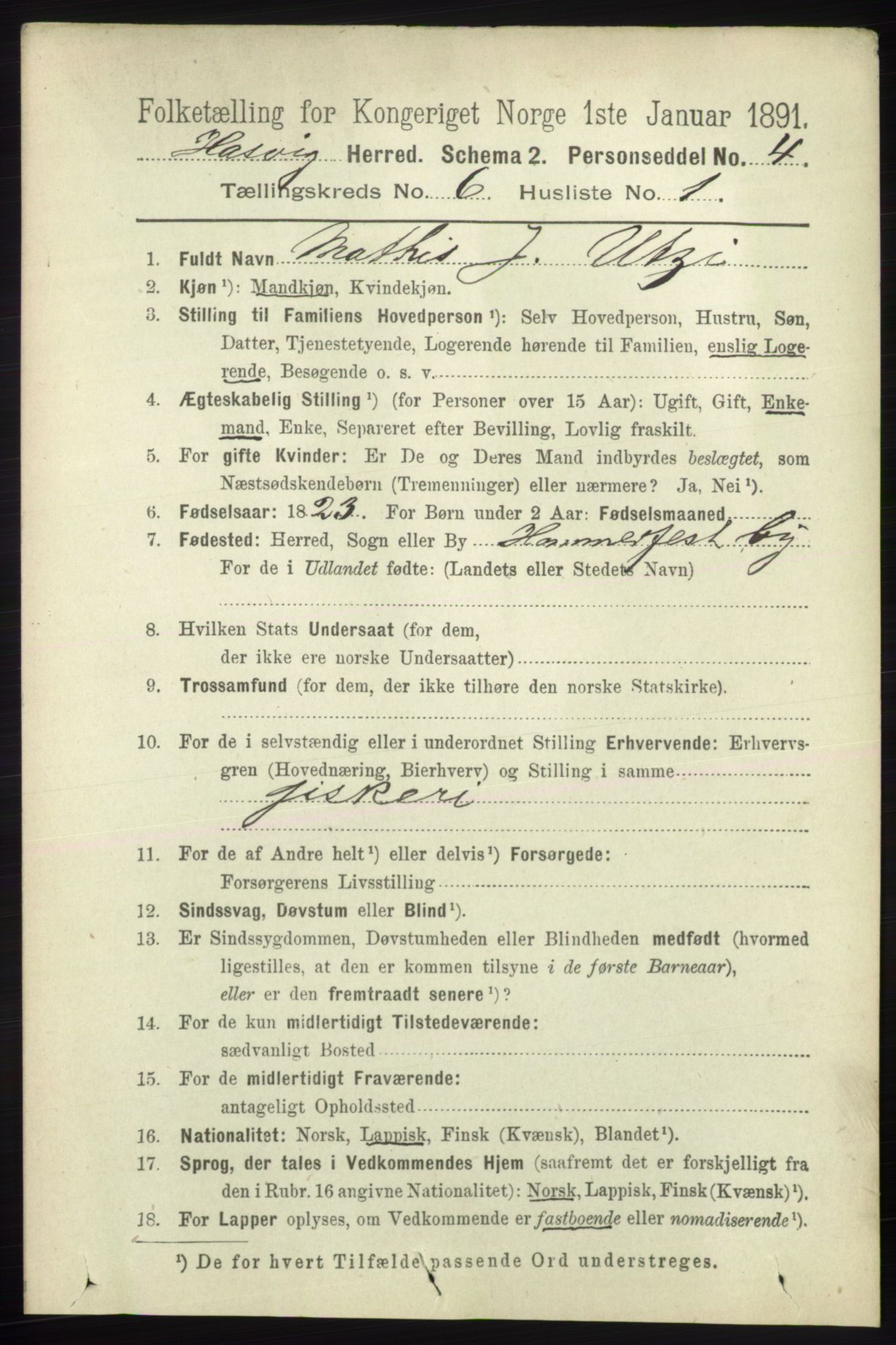 RA, 1891 census for 2015 Hasvik, 1891, p. 869