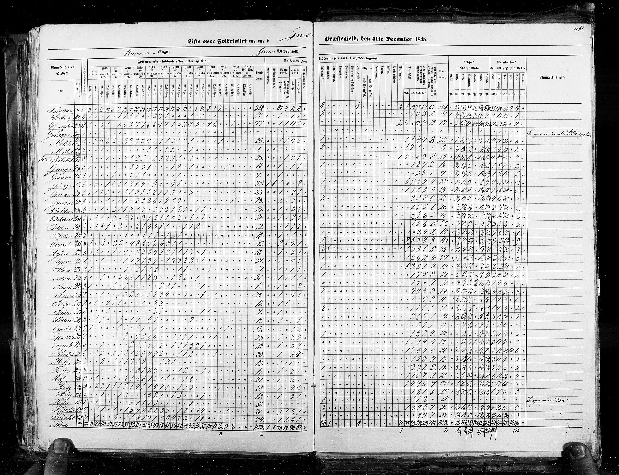 RA, Census 1845, vol. 3: Hedemarken amt og Kristians amt, 1845, p. 461