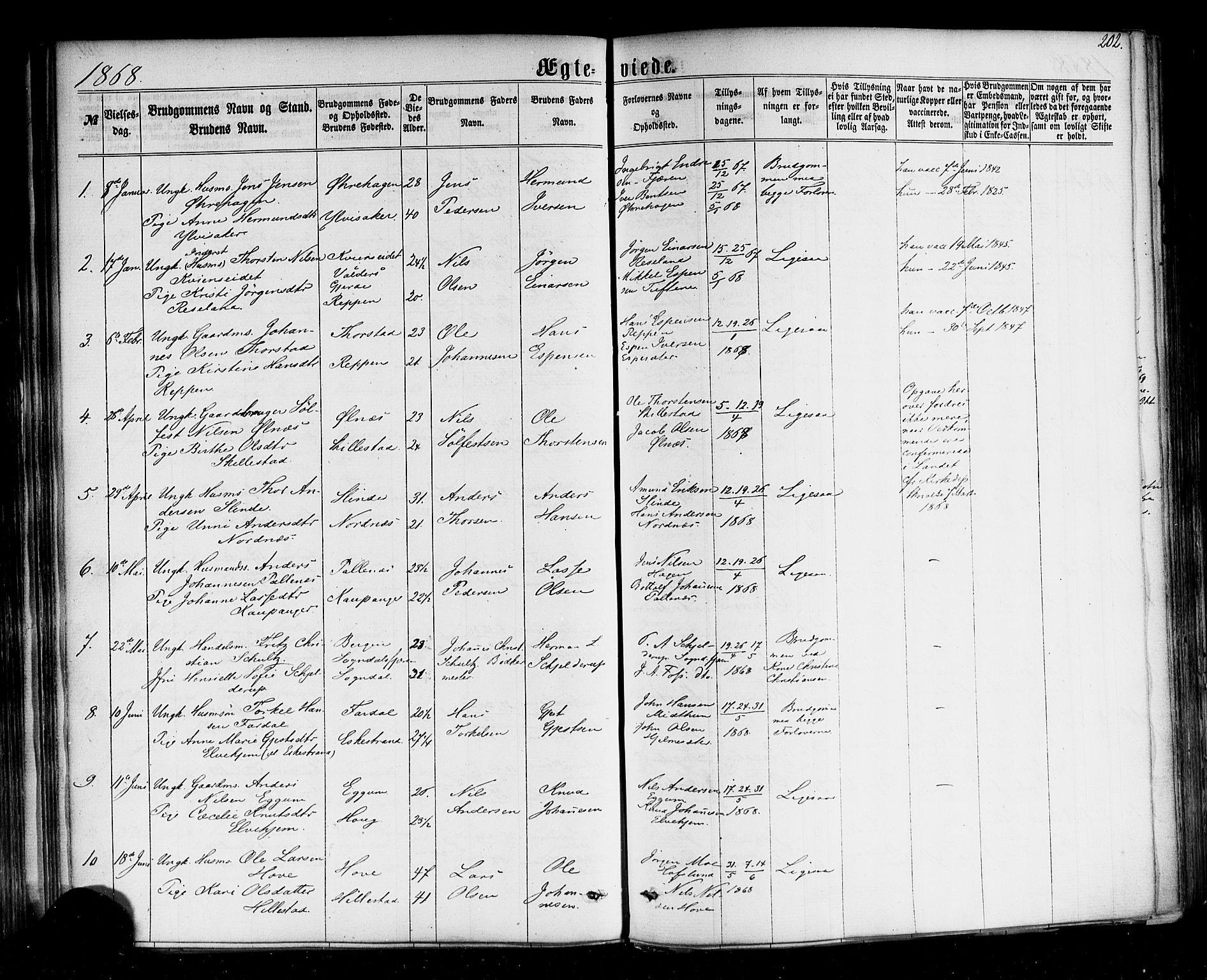 Sogndal sokneprestembete, SAB/A-81301/H/Haa/Haaa/L0013: Parish register (official) no. A 13, 1859-1877, p. 202