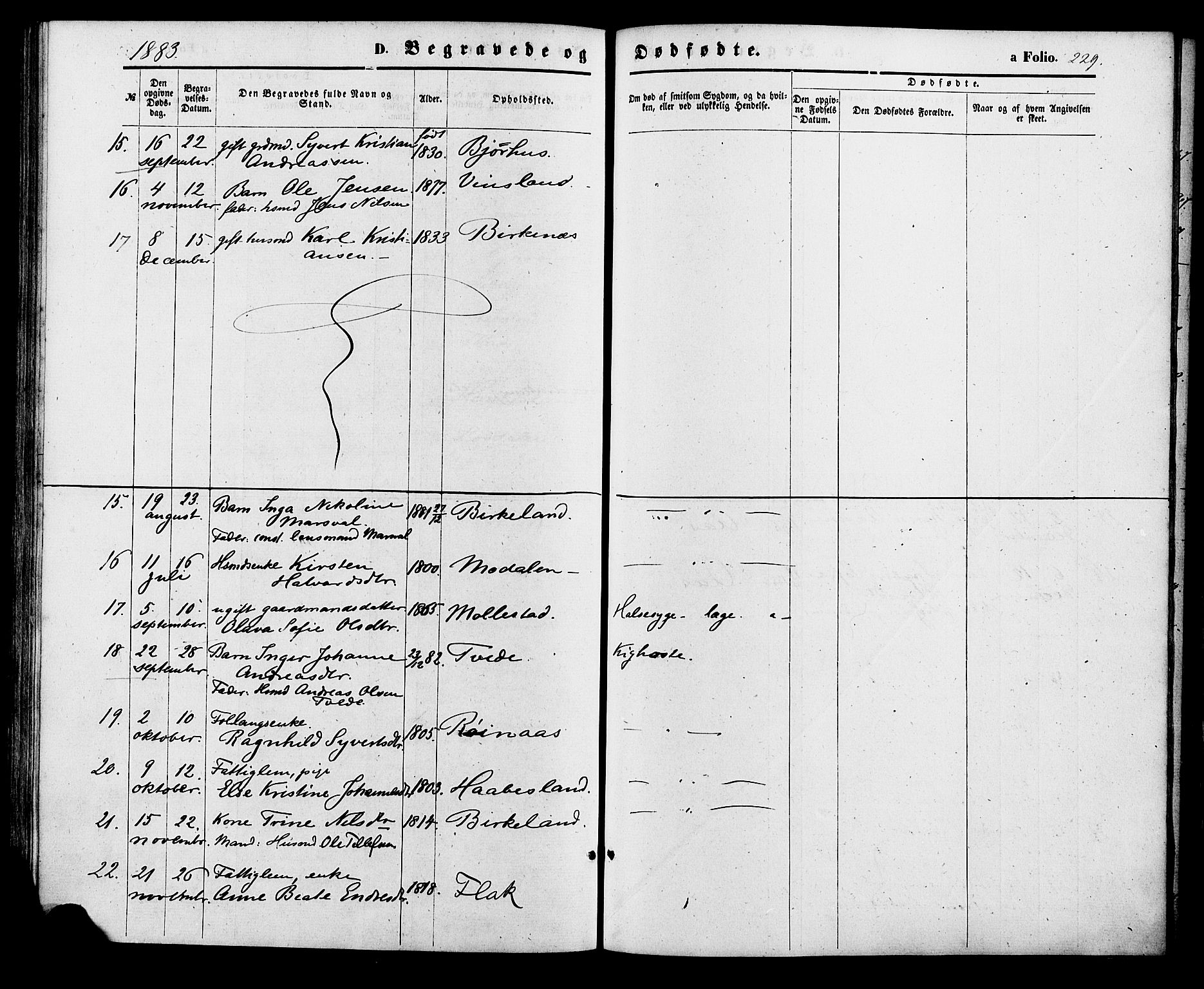 Birkenes sokneprestkontor, AV/SAK-1111-0004/F/Fa/L0004: Parish register (official) no. A 4, 1867-1886, p. 229