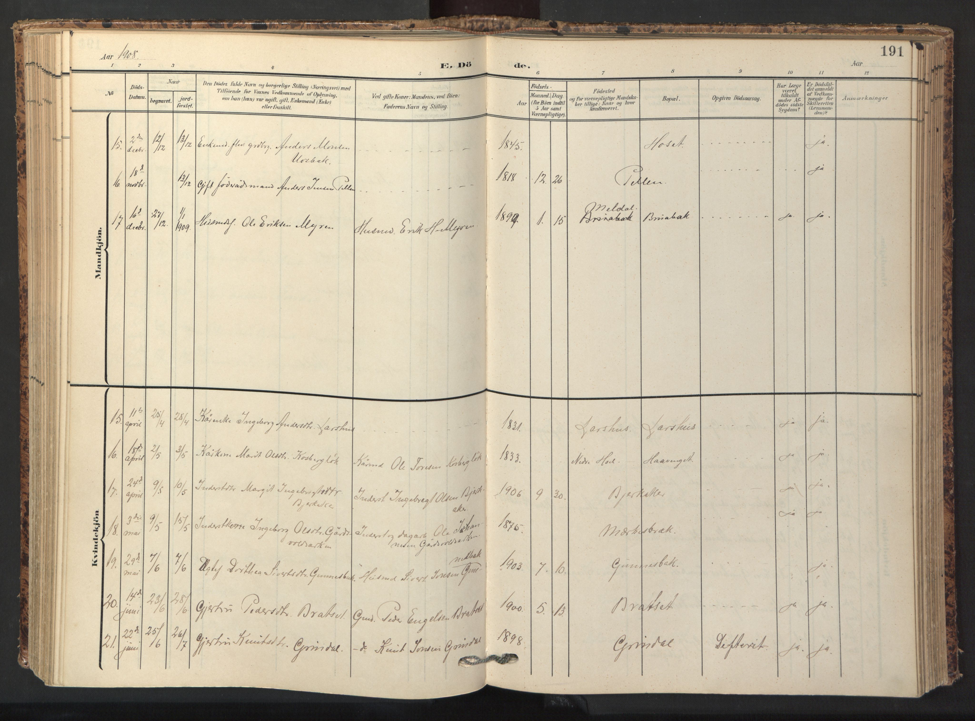 Ministerialprotokoller, klokkerbøker og fødselsregistre - Sør-Trøndelag, AV/SAT-A-1456/674/L0873: Parish register (official) no. 674A05, 1908-1923, p. 191