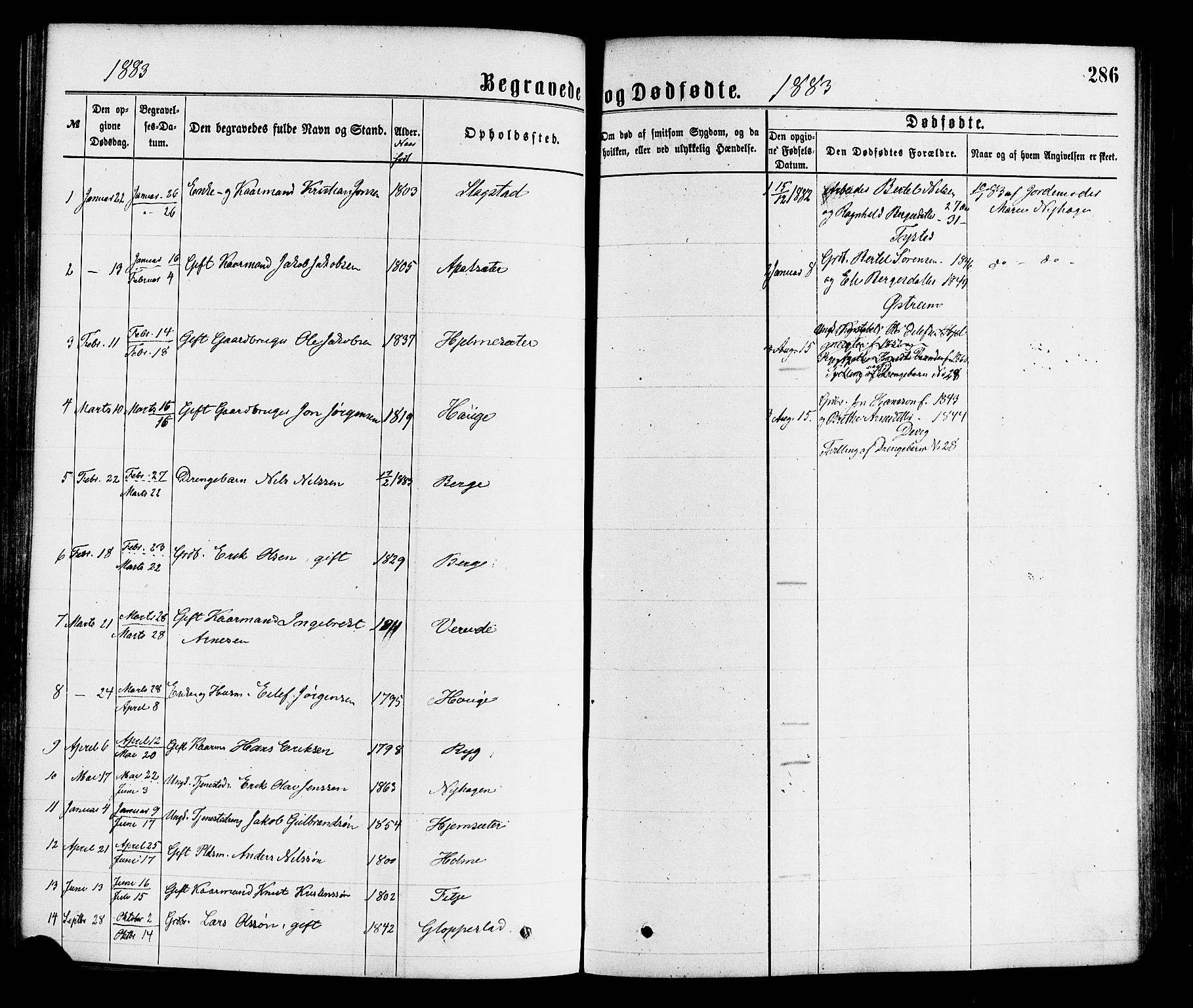 Gloppen sokneprestembete, SAB/A-80101/H/Haa/Haaa/L0010: Parish register (official) no. A 10, 1871-1884, p. 286