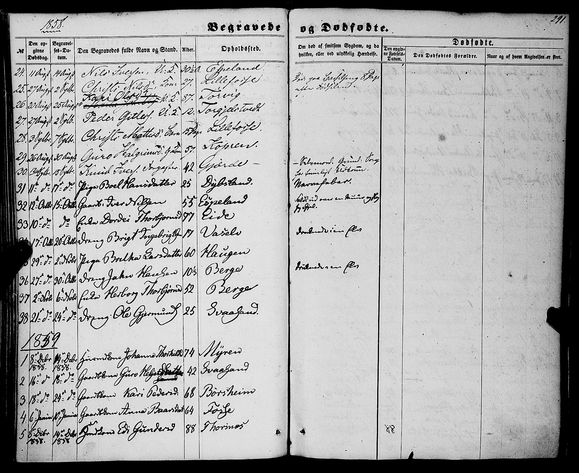 Strandebarm sokneprestembete, SAB/A-78401/H/Haa: Parish register (official) no. A 8, 1858-1872, p. 291