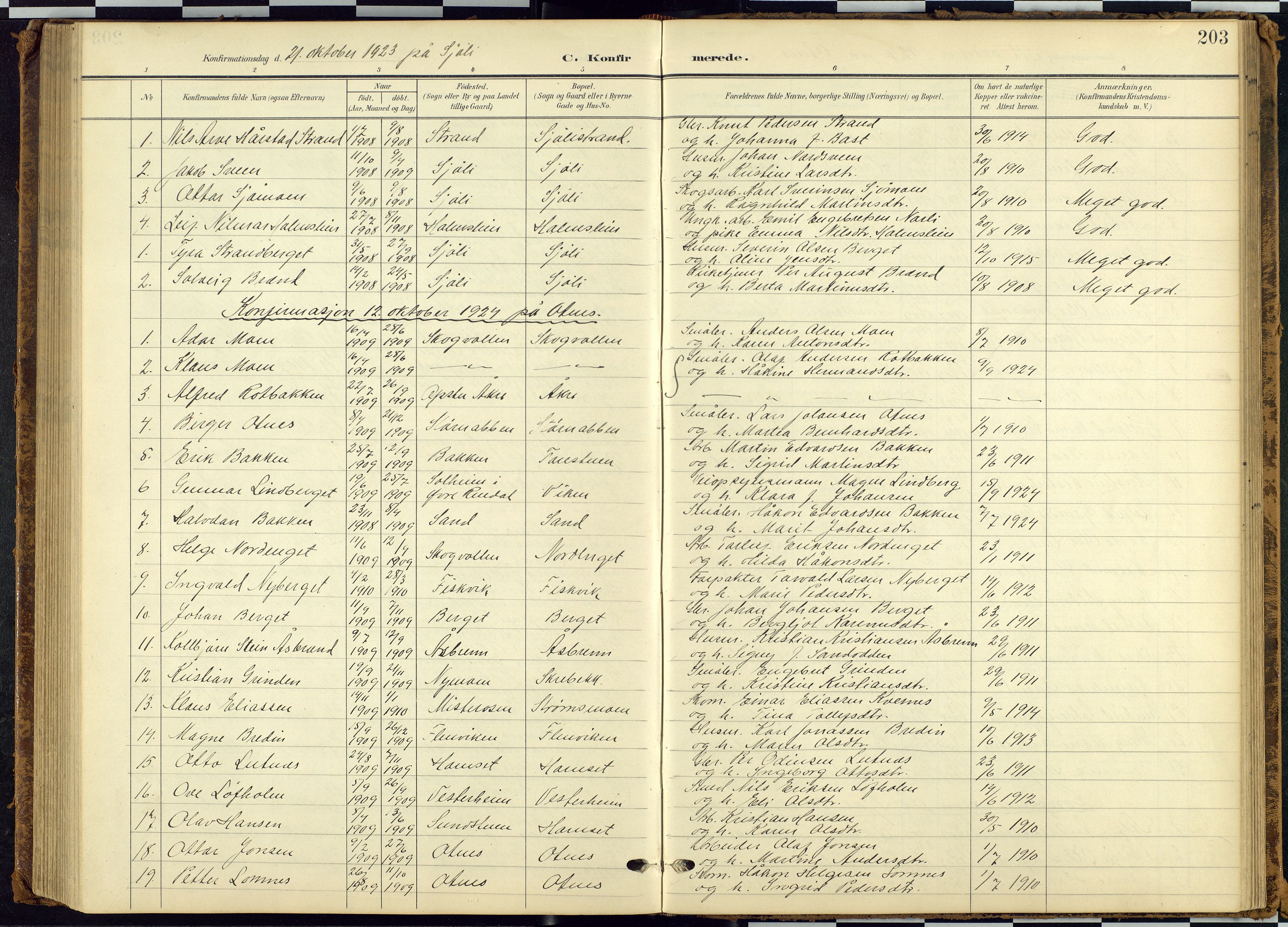 Rendalen prestekontor, SAH/PREST-054/H/Ha/Hab/L0010: Parish register (copy) no. 10, 1903-1940, p. 203