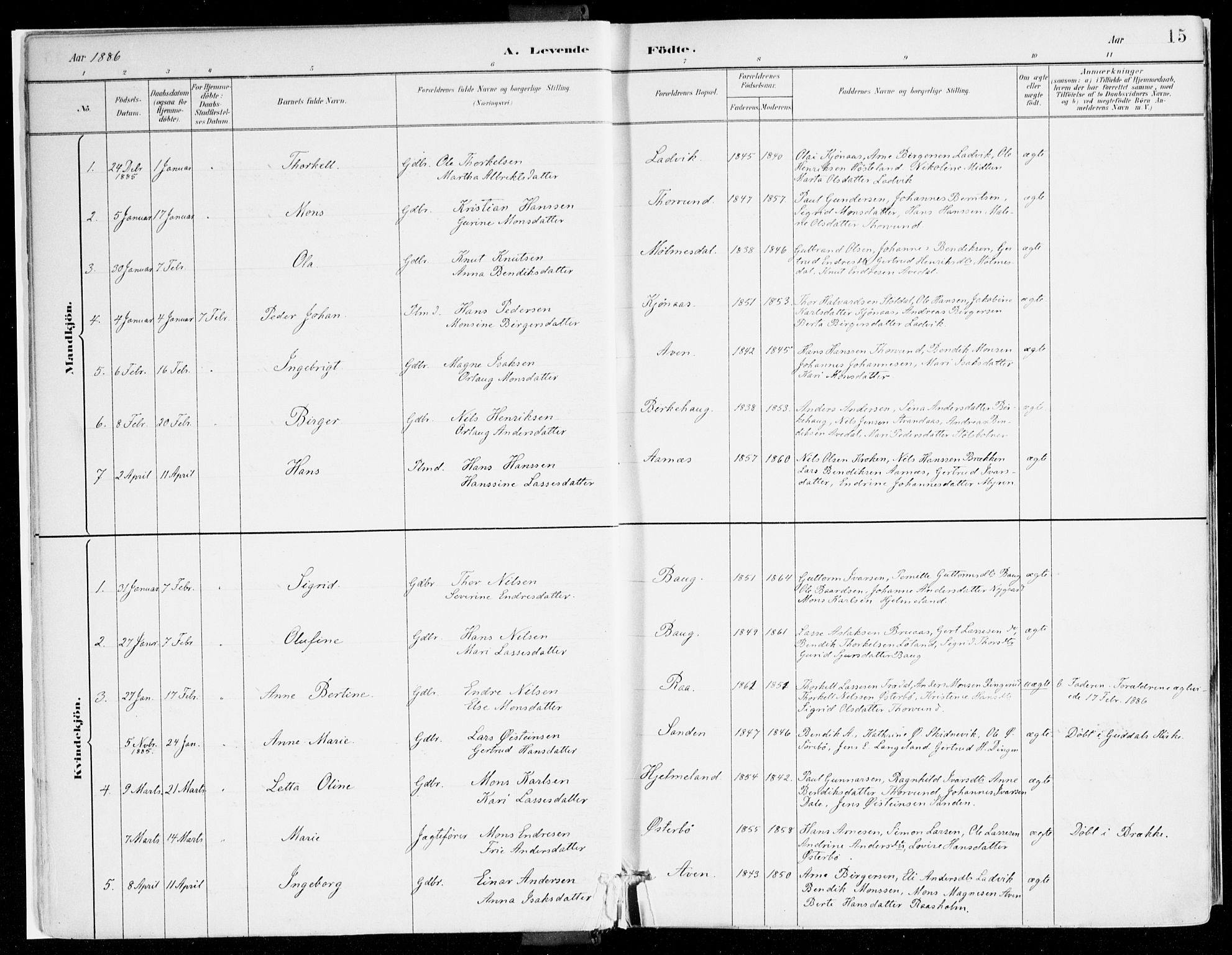 Lavik sokneprestembete, AV/SAB-A-80901: Parish register (official) no. B 1, 1882-1908, p. 15