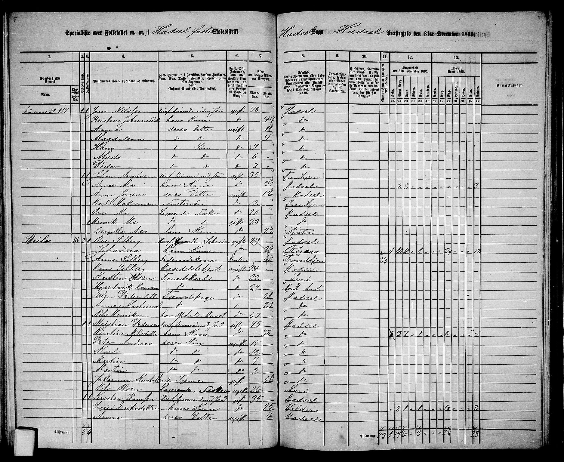 RA, 1865 census for Hadsel, 1865, p. 114