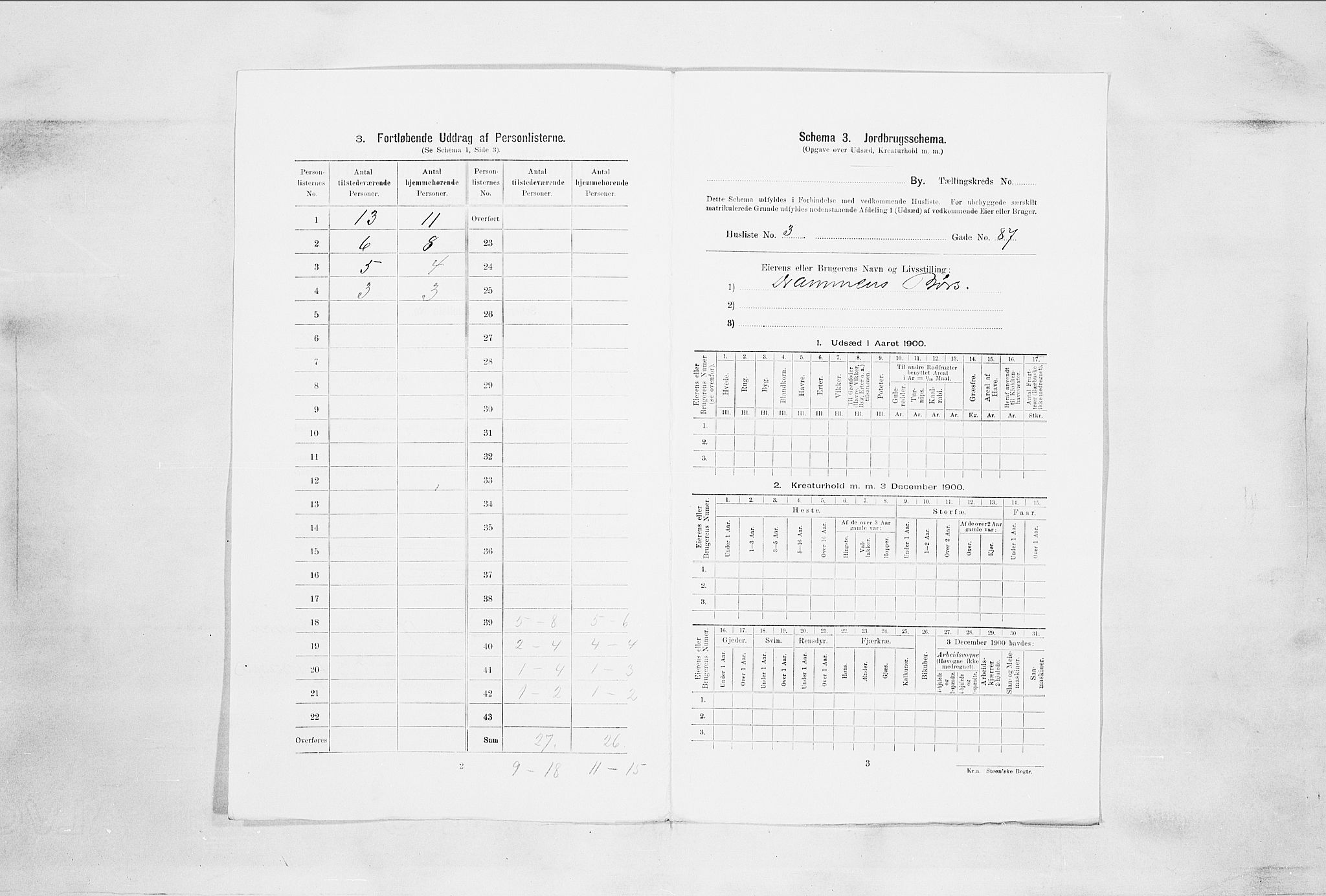RA, 1900 census for Drammen, 1900, p. 3018