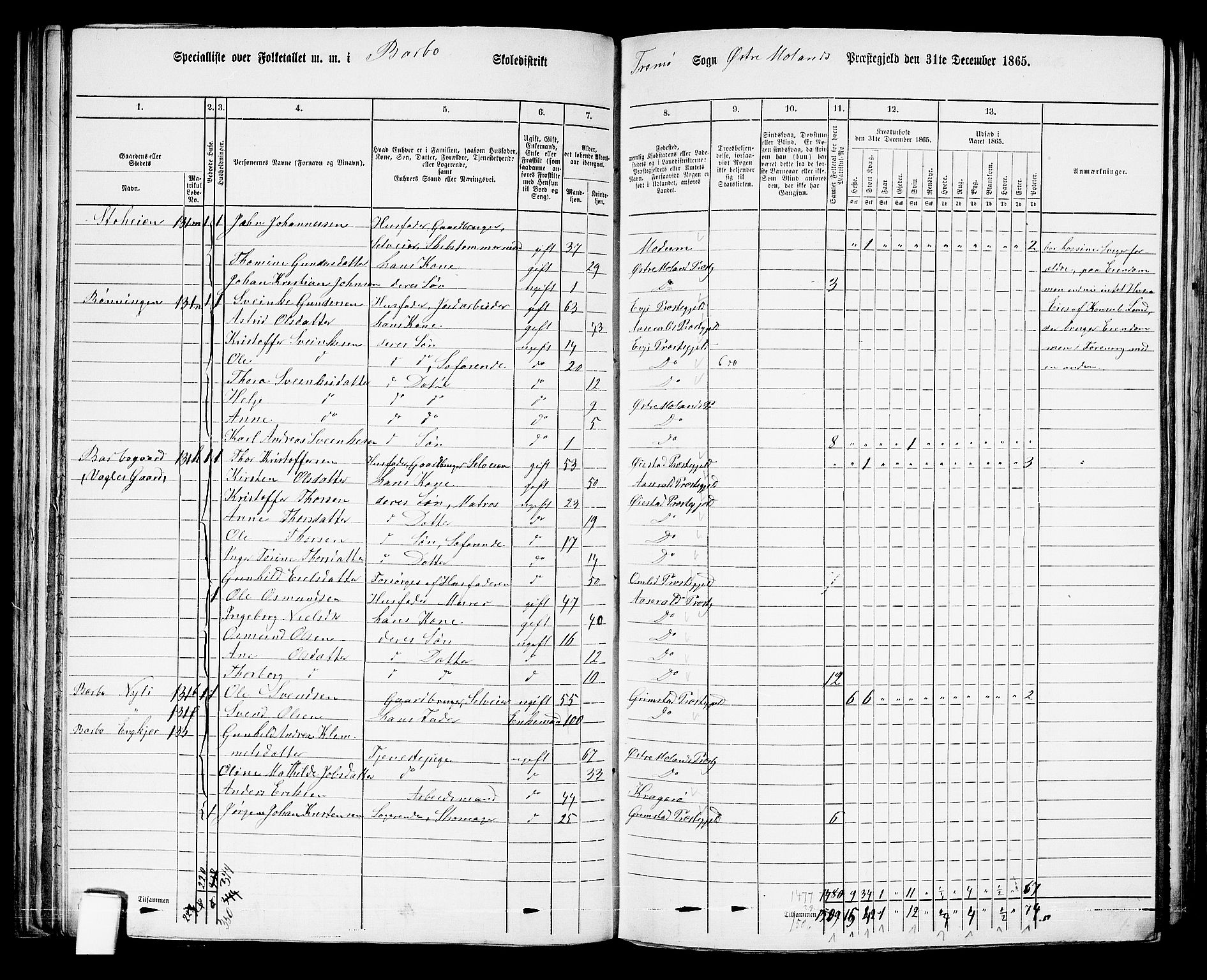 RA, 1865 census for Austre Moland, 1865, p. 113