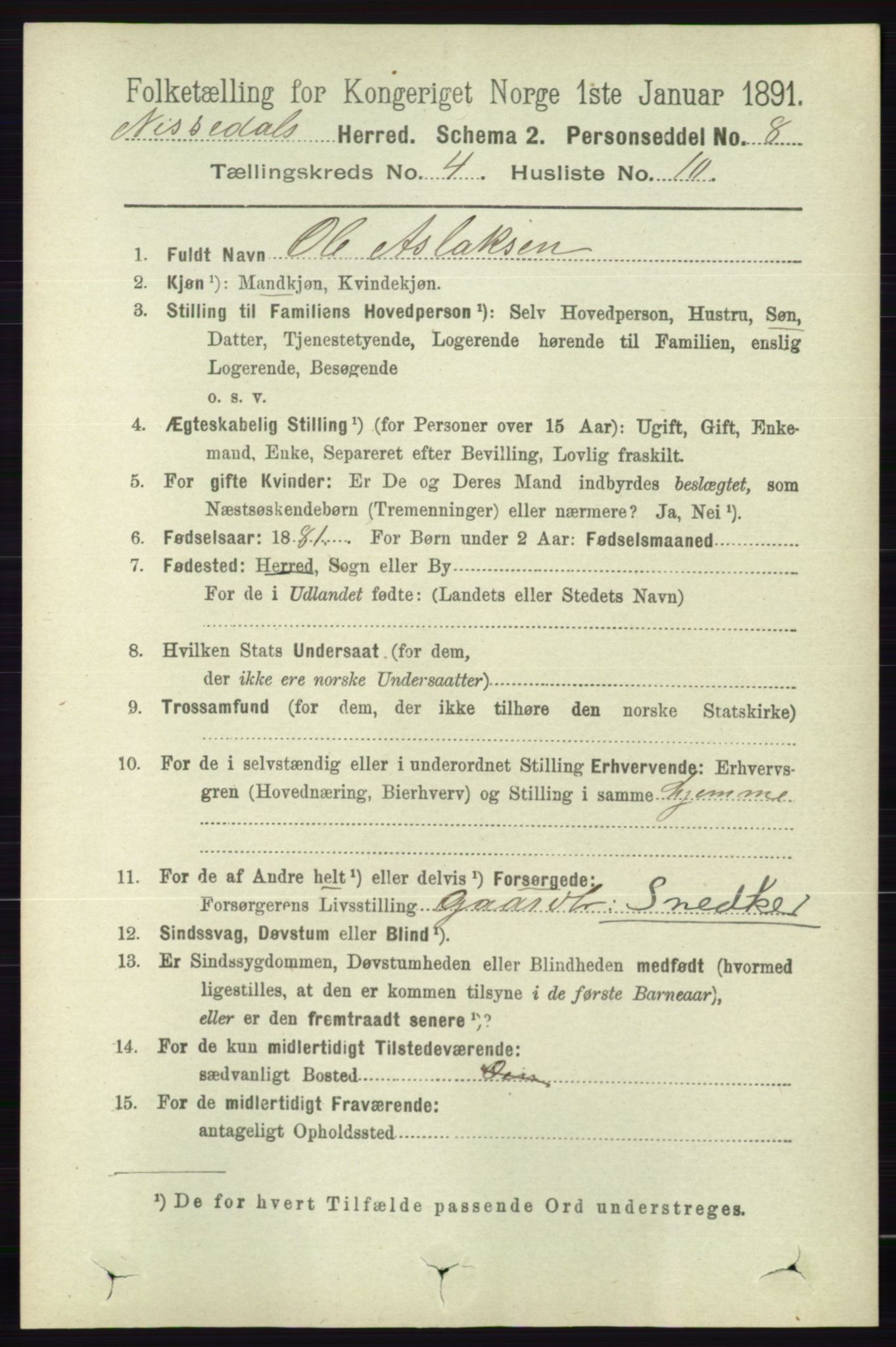 RA, 1891 census for 0830 Nissedal, 1891, p. 919