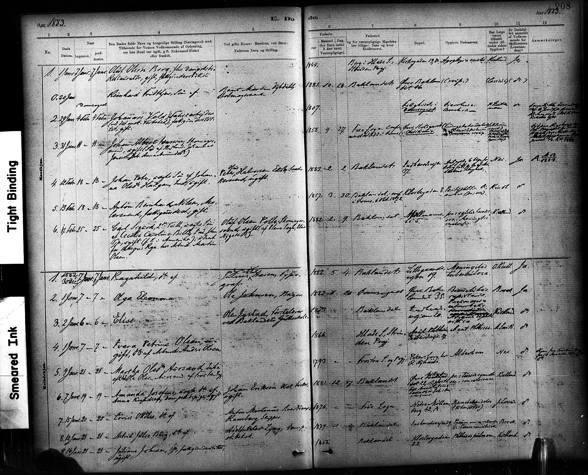 Ministerialprotokoller, klokkerbøker og fødselsregistre - Sør-Trøndelag, SAT/A-1456/604/L0189: Parish register (official) no. 604A10, 1878-1892, p. 208