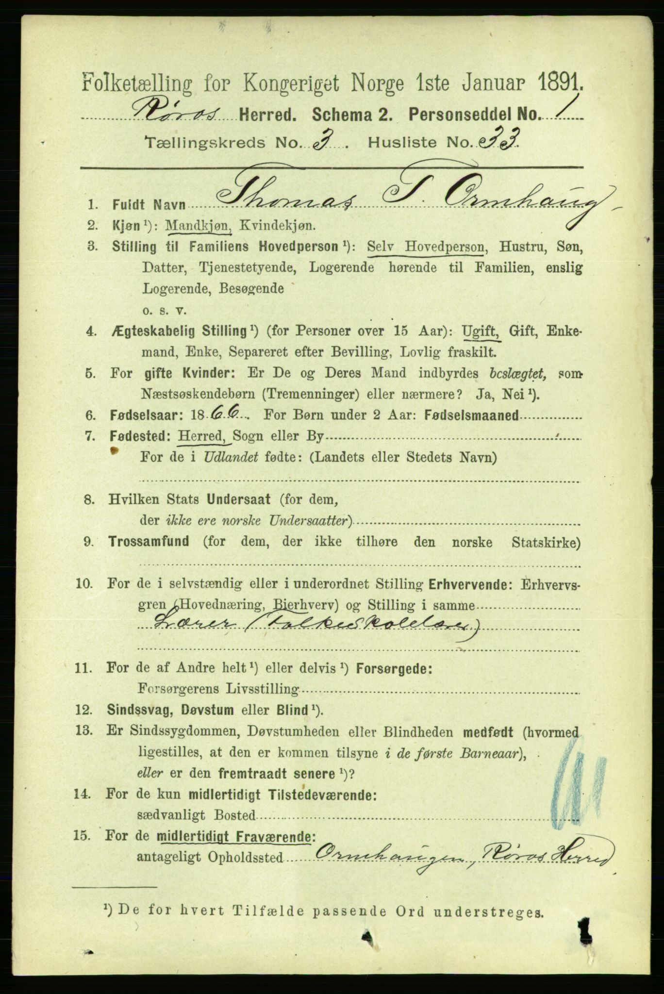 RA, 1891 census for 1640 Røros, 1891, p. 738