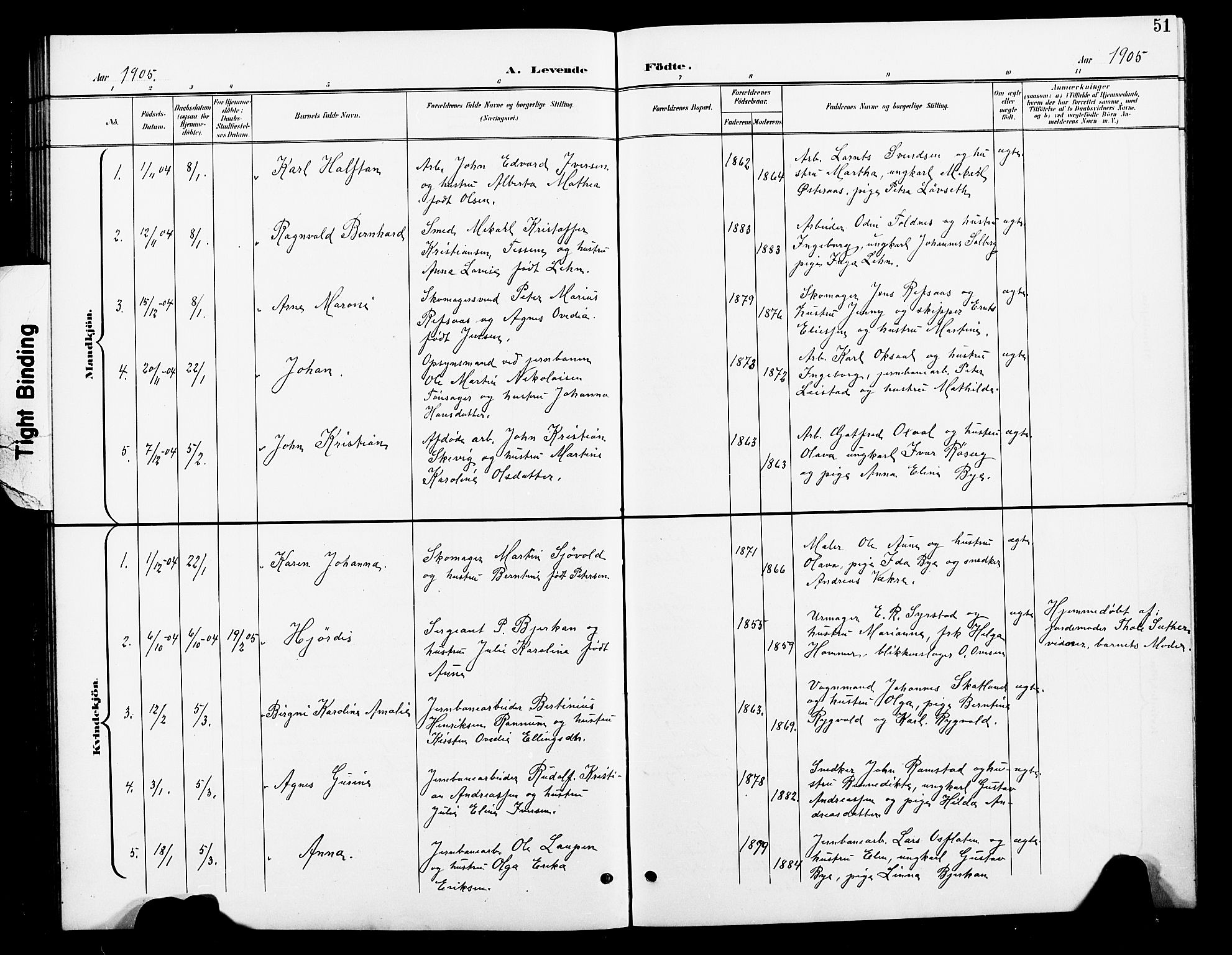 Ministerialprotokoller, klokkerbøker og fødselsregistre - Nord-Trøndelag, SAT/A-1458/739/L0375: Parish register (copy) no. 739C03, 1898-1908, p. 51