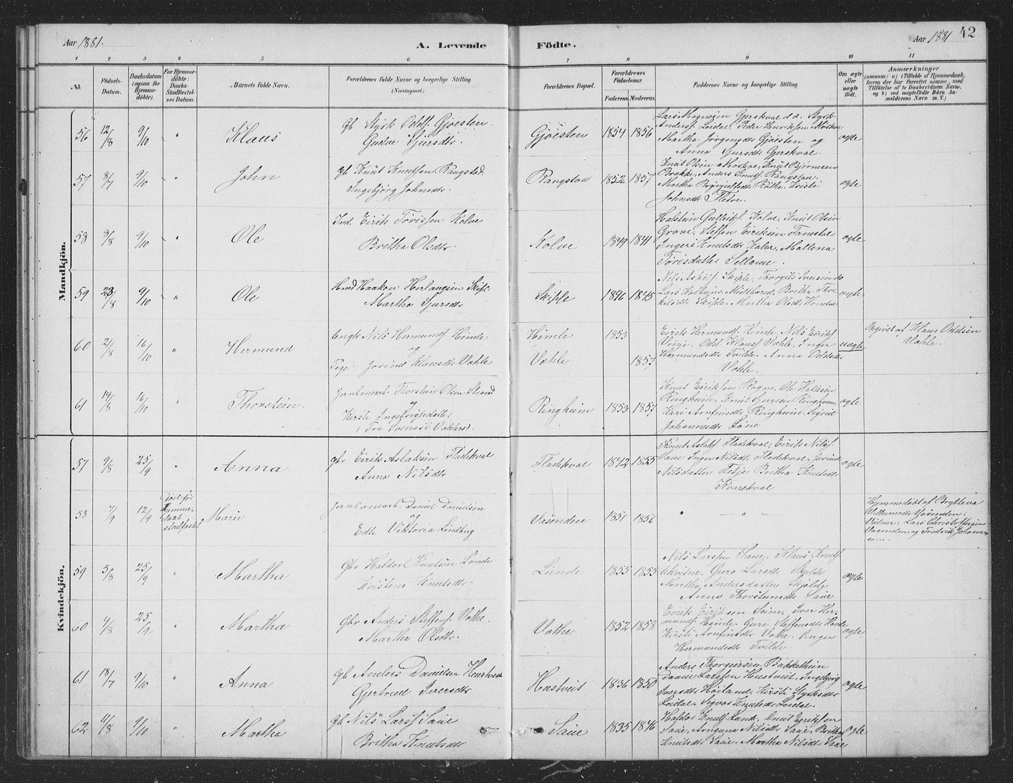 Voss sokneprestembete, AV/SAB-A-79001/H/Hab: Parish register (copy) no. B 3, 1879-1894, p. 42