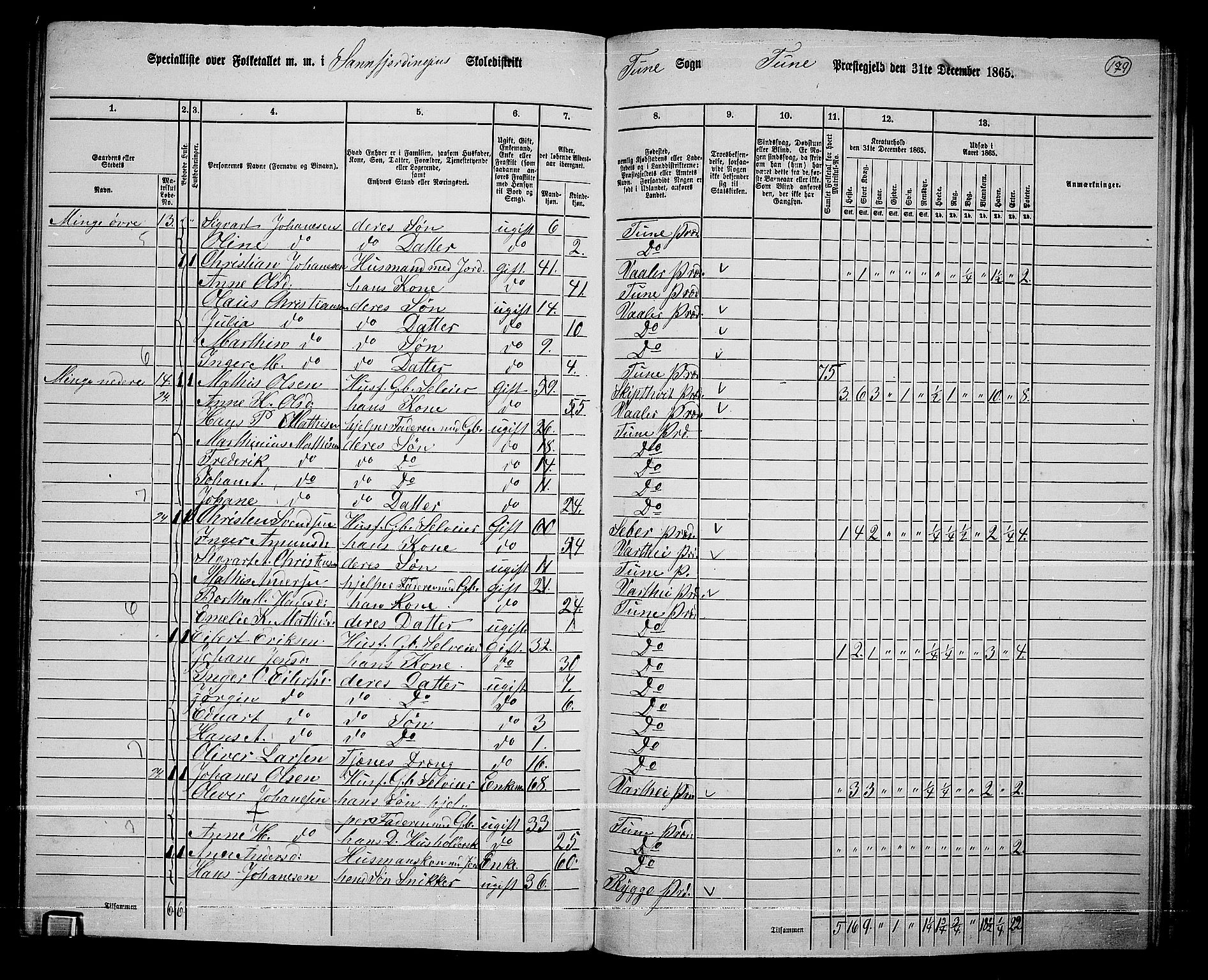 RA, 1865 census for Tune, 1865, p. 253