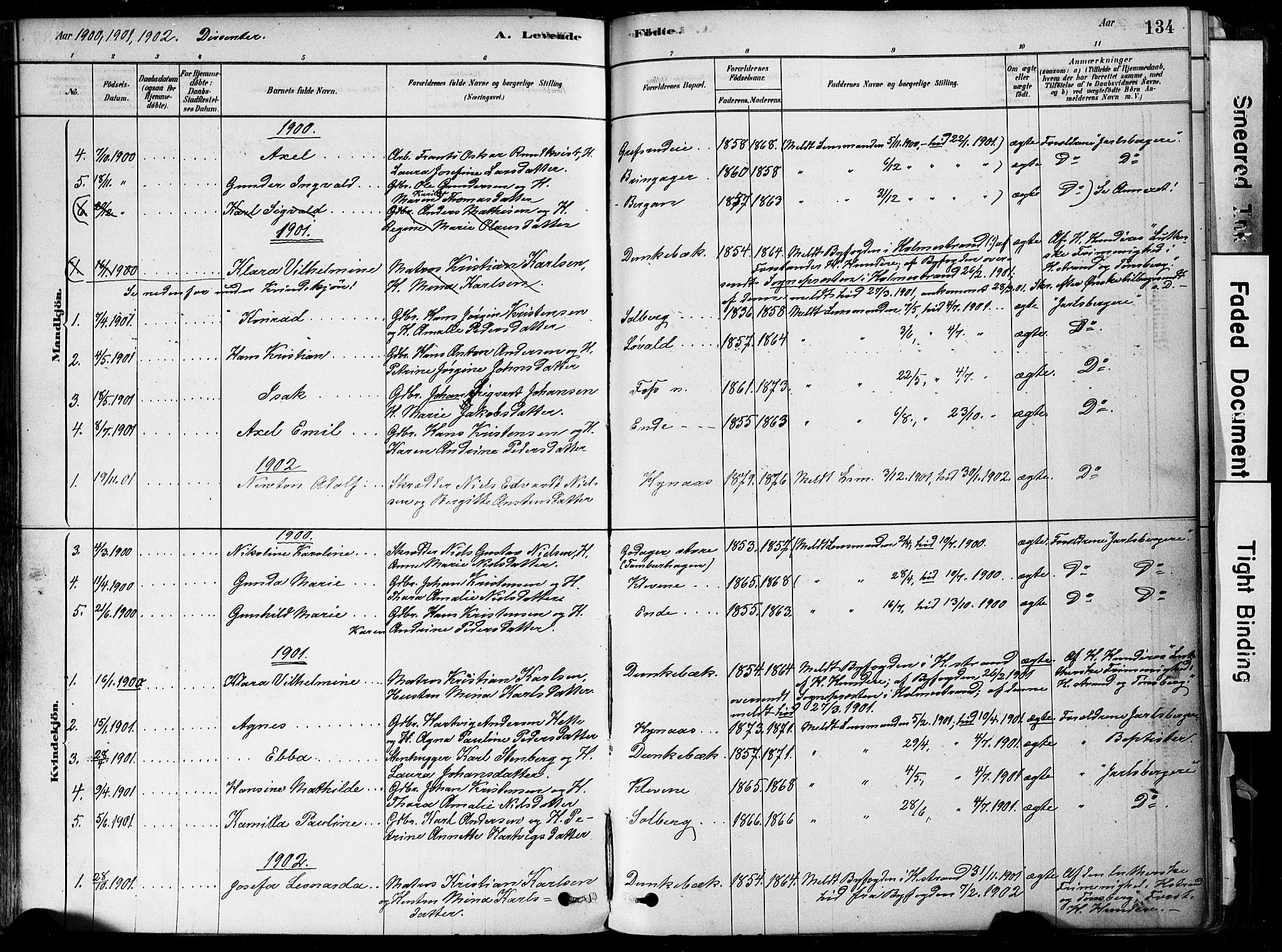 Botne kirkebøker, SAKO/A-340/F/Fa/L0007: Parish register (official) no. I 7, 1878-1910, p. 134